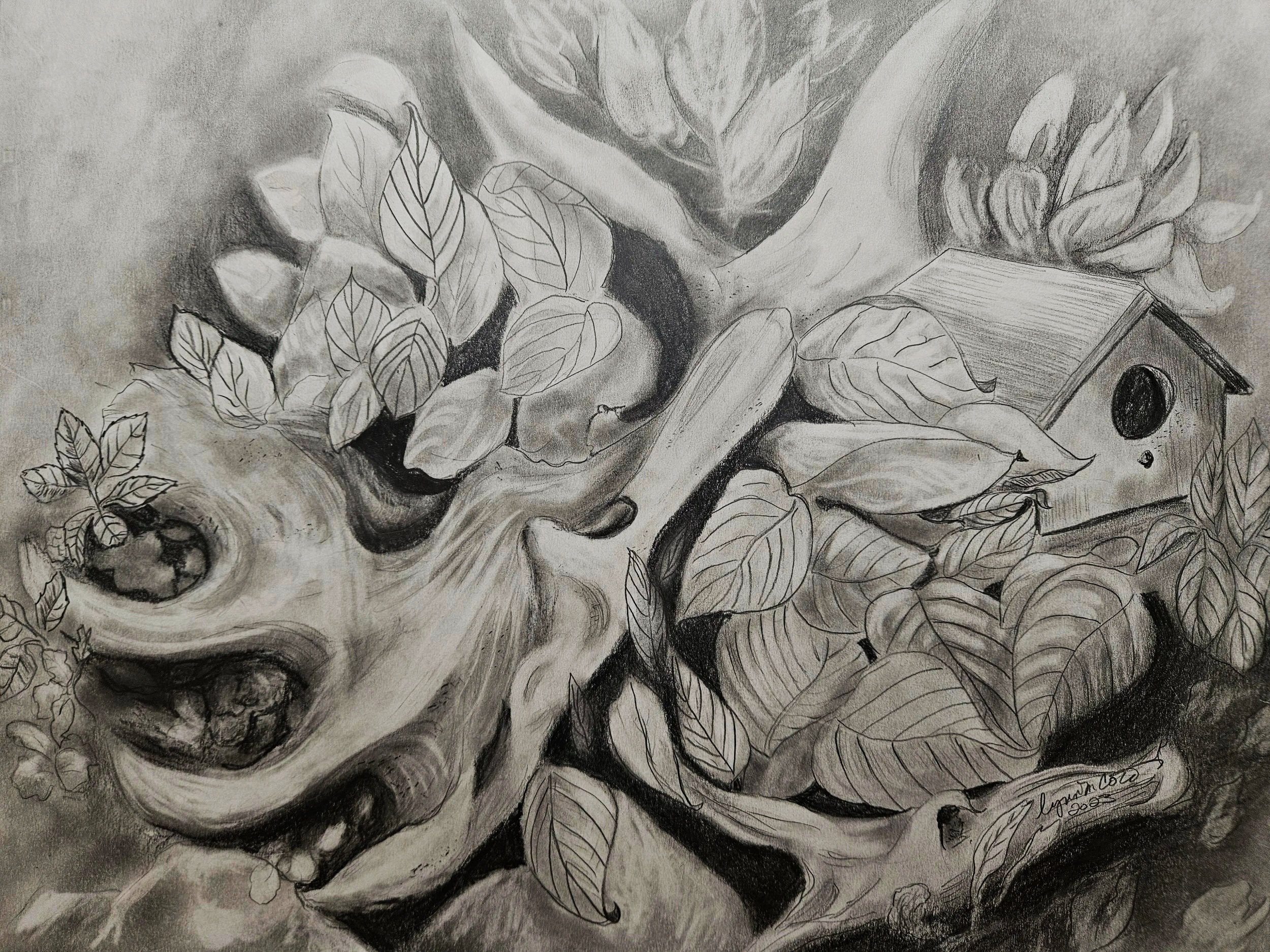 Original pencil drawing, moose antler and birdhouse by Lynn M Cote, Birch Haven Studio