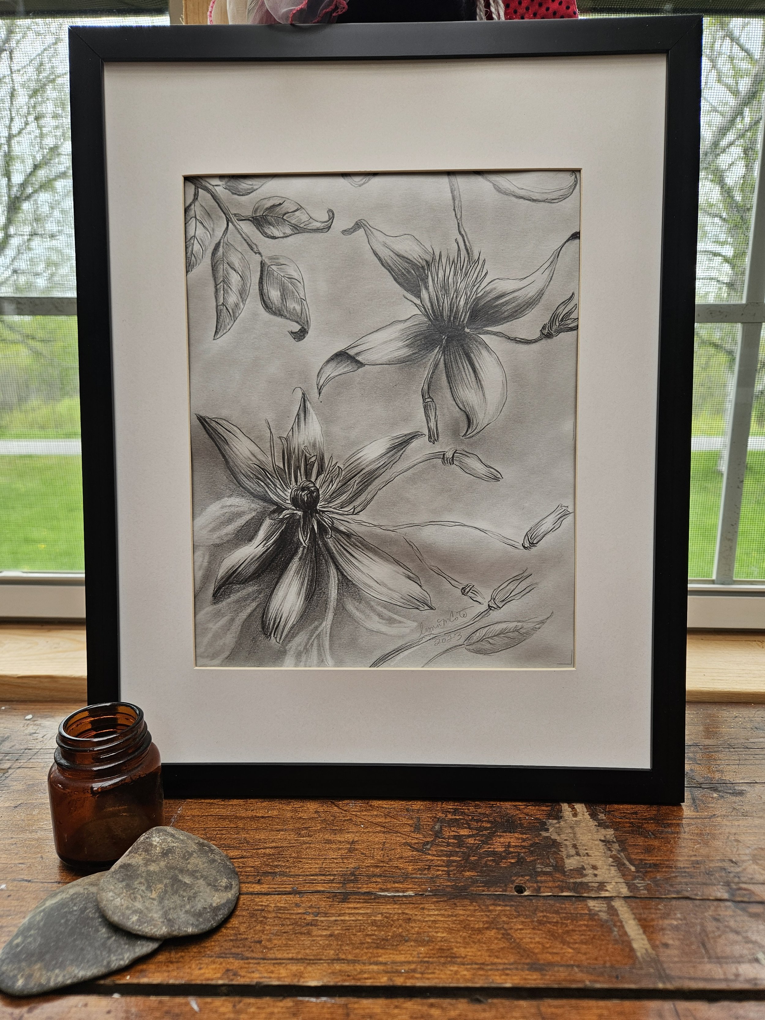 original black and white pencil drawing, Sweet Autumn Clematis vine by Lynn M Cote, Birch Haven Art Studio, shown in black frame