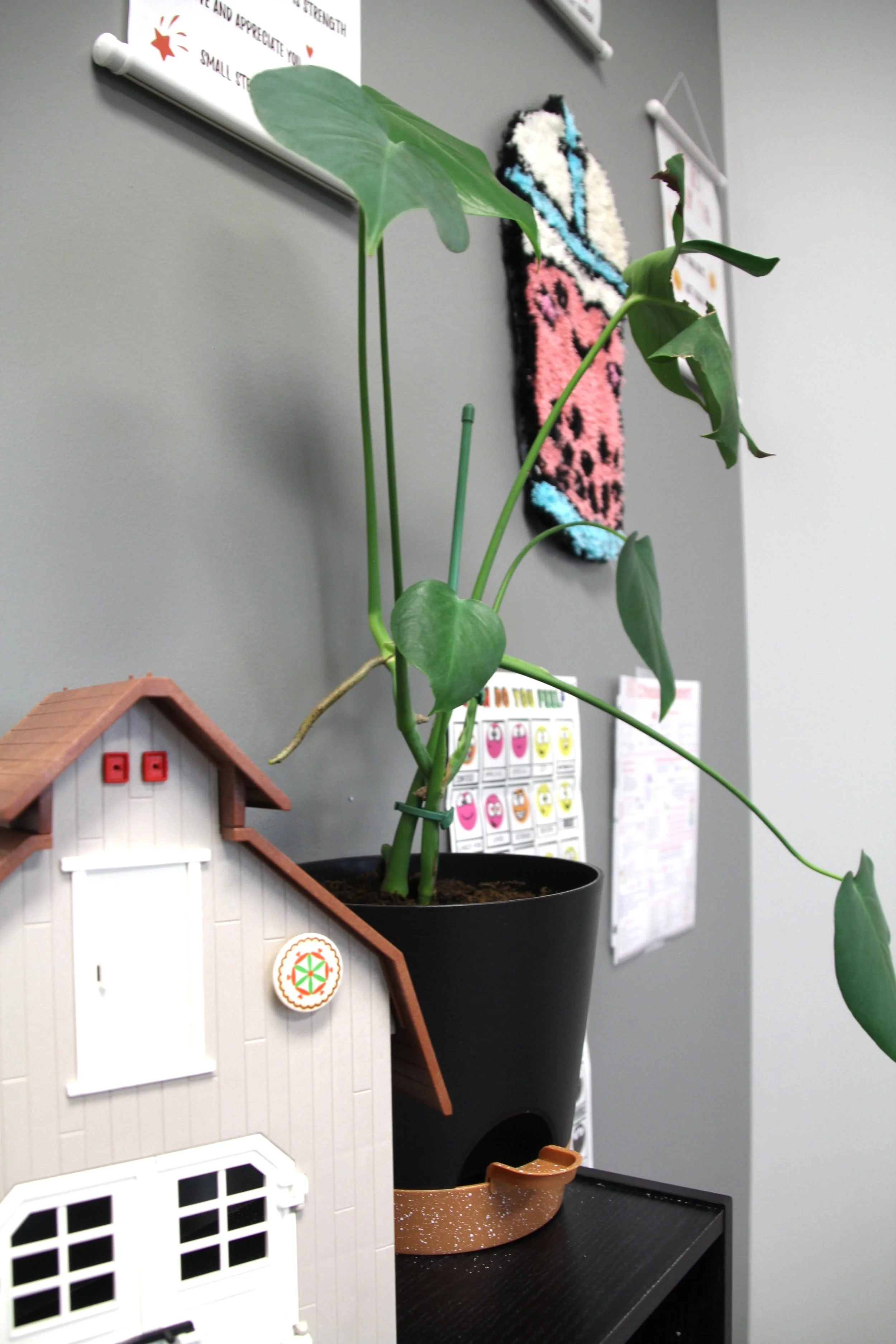 A potted houseplant with large, green, arrow-shaped leaves on thin stems placed on a black surface indoors, with decorative wall hangings and printed papers on the gray wall behind it.