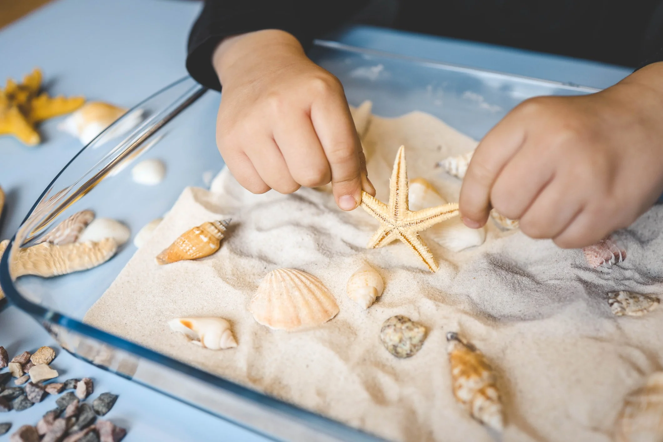 Sandtray with shells