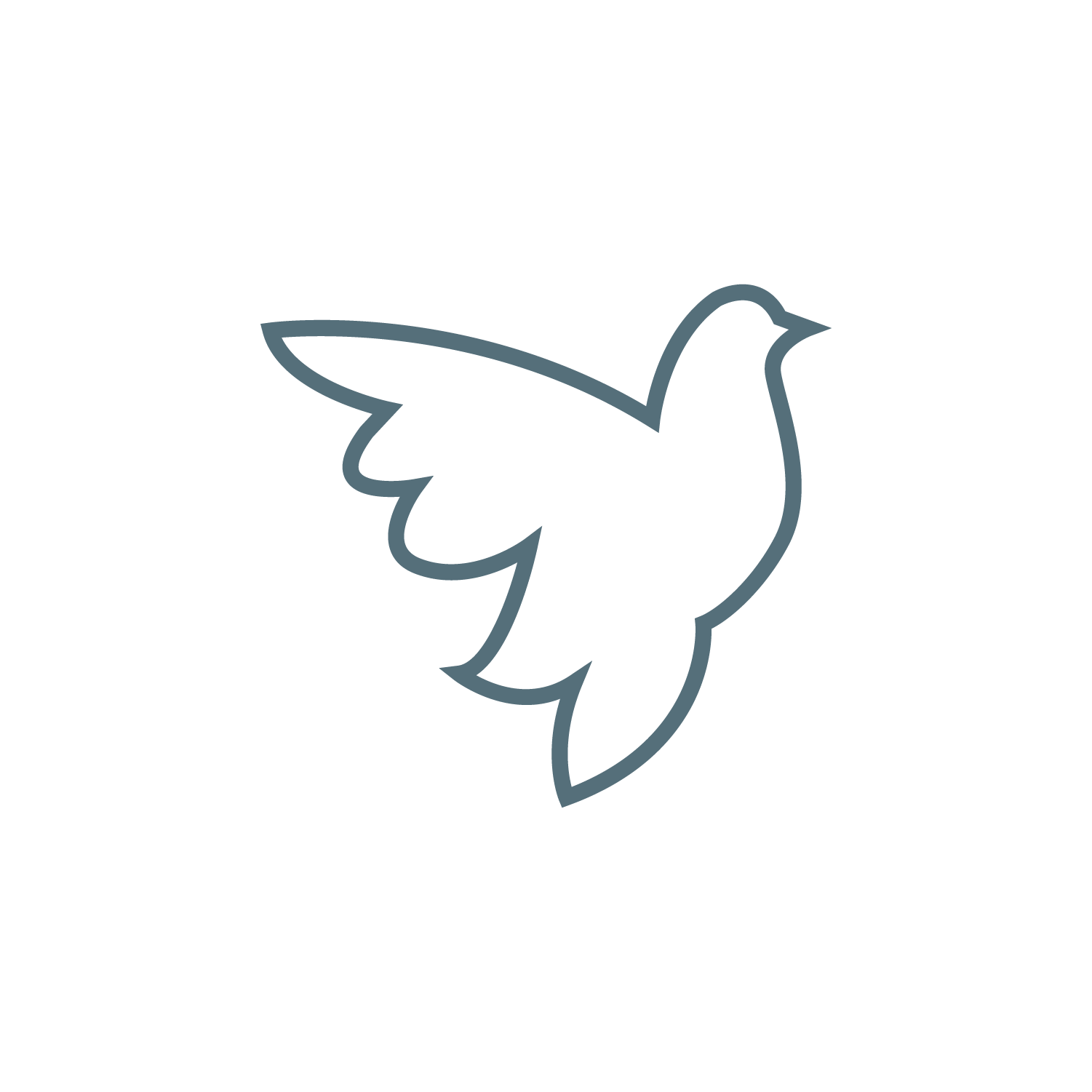 Outline of a flying bird with wings spread, labeled as a peaceful bird logo.
