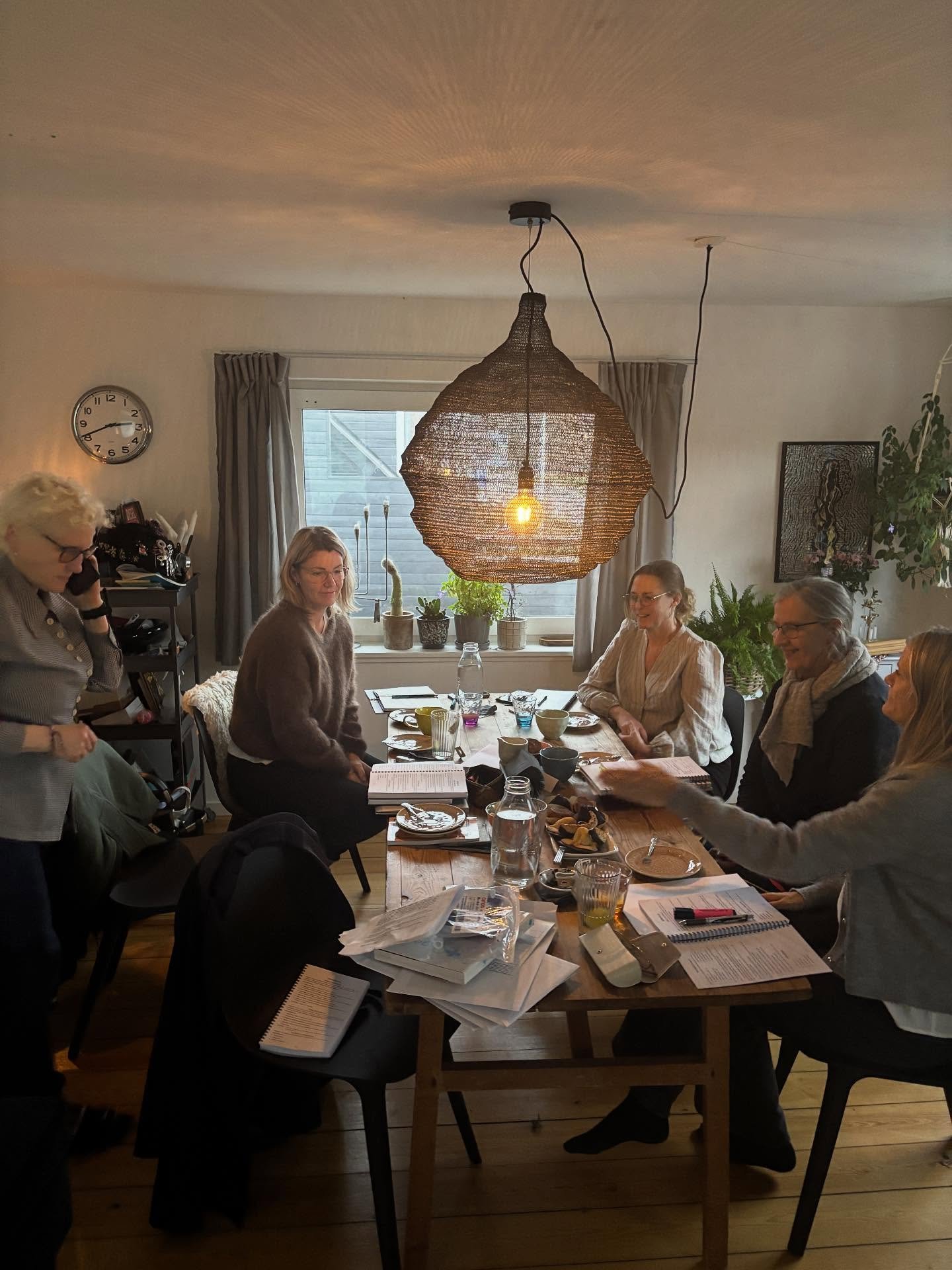 I dag var Narayani dag p&aring; Det Hom&oslash;opatiske Addendum. Jeg elsker at undervise i det. What&rsquo;s not to like? Jeg kan tale om mit yndlings tema en hel og ALTID i det bedste selskab. Jeg elsker at se begejstringen for disse midler vokse l