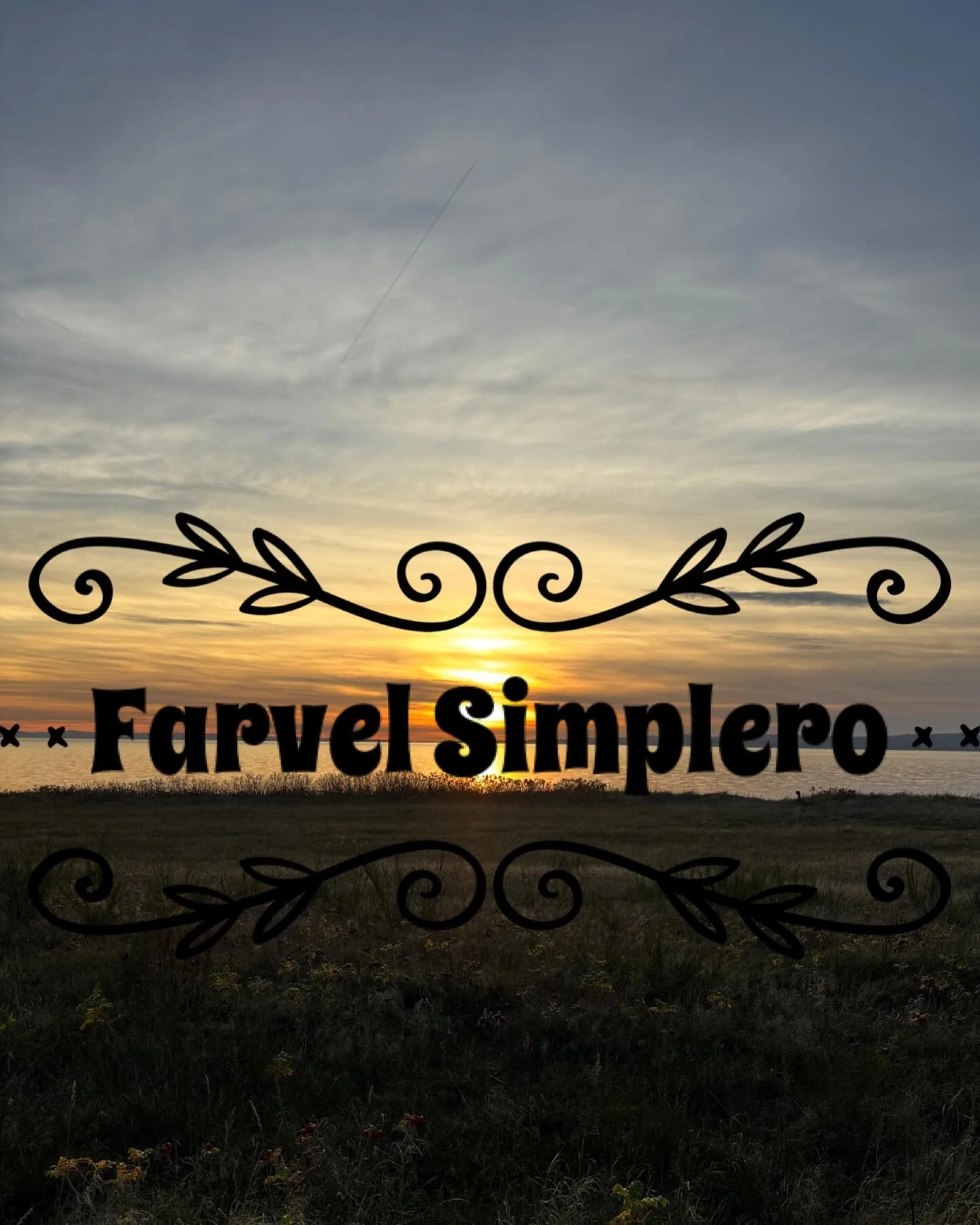 Jeg er n&aelig;sten f&aelig;rdig med en K&AElig;MPE digital flytning! Jeg har f.eks. flyttet 83 timer og 49 minutters video! Det g&aelig;lder om at holde tungen lige i munden. Men oh boy er det det hele v&aelig;rd! Den nye platform - Squarespace - er