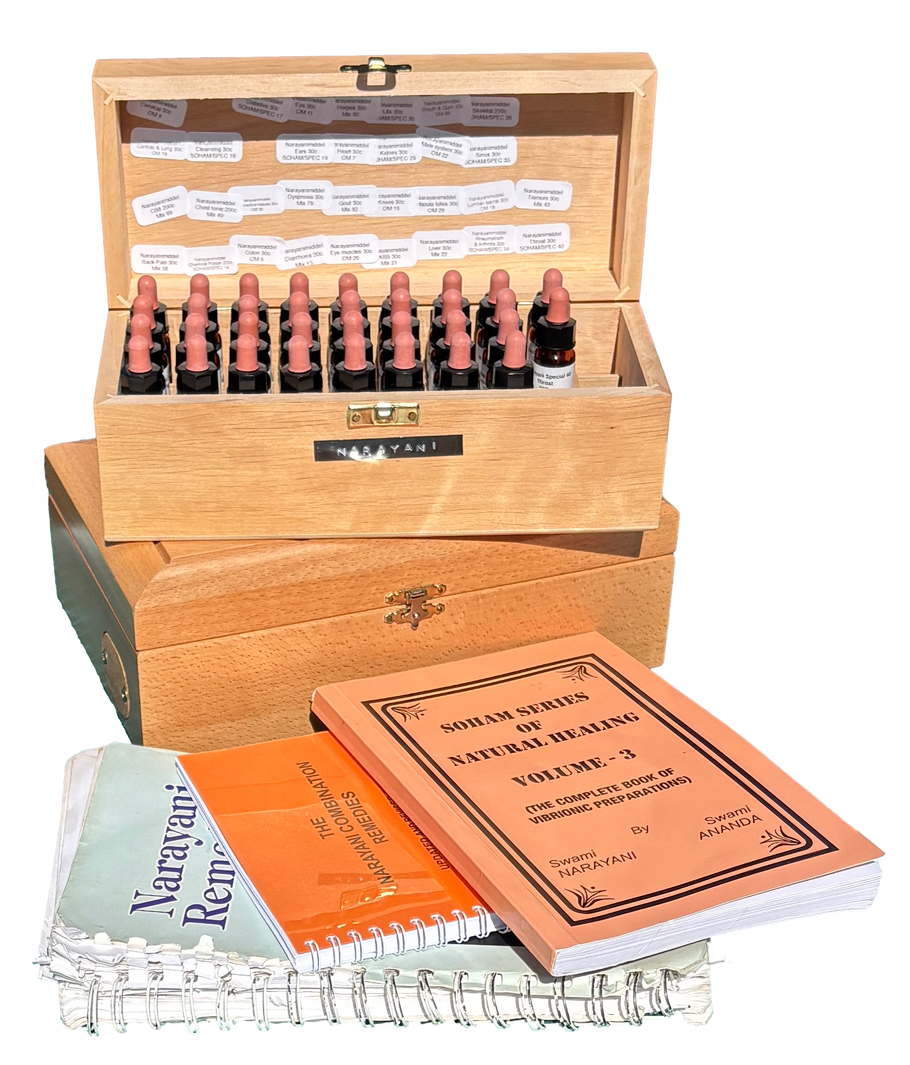 De enestående Narayanimidler: 3 mandage på Zoom