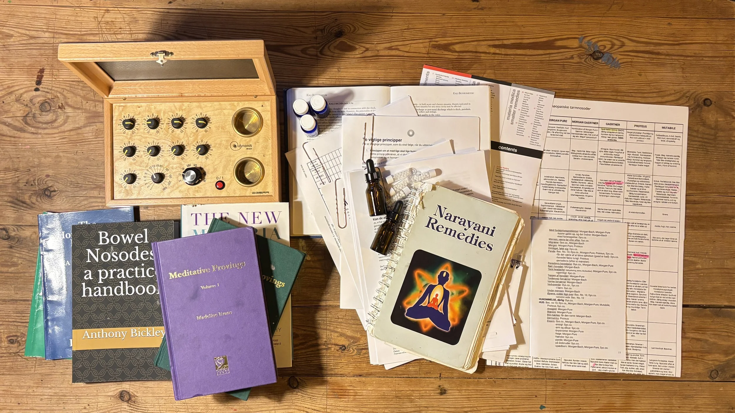 Hvad er Det Homøopatiske Addendum - en 6 måneders uddannelse for alle behandlere + Q&amp;A