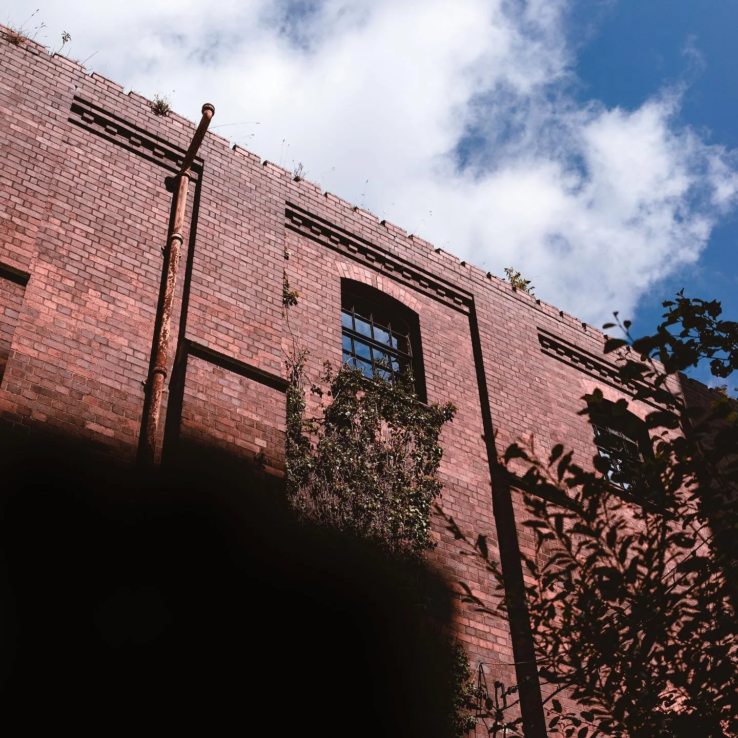 I came across these abandoned malt houses and the contrast was so beautiful &mdash; adding this to my final year uni project #abandoned