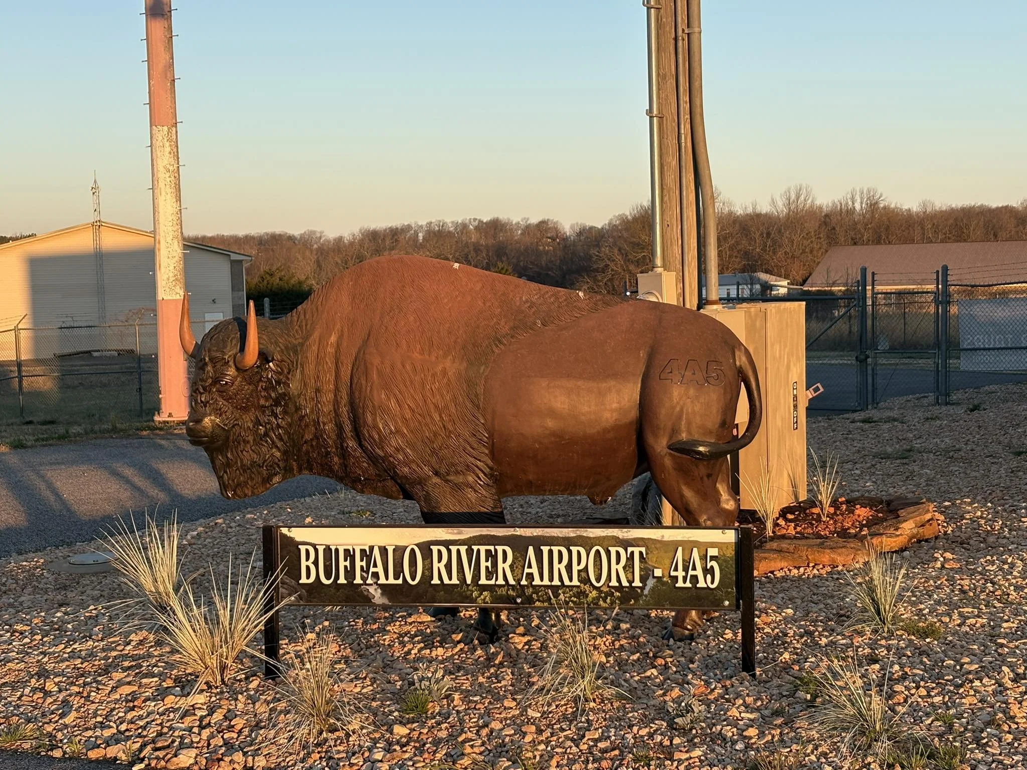 buffalo.jpg