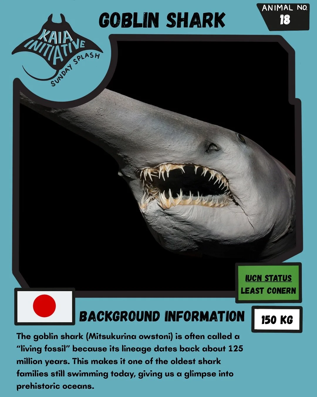 Sunday Splash: Goblin Shark! ๐ฆ๐
Say hello to the goblin shark! The deep-sea grandpa that’s been hanging around for 125 million years. With its pink skin and jaws that launch out like a party popper ๐, this shark looks less “Finding Ne