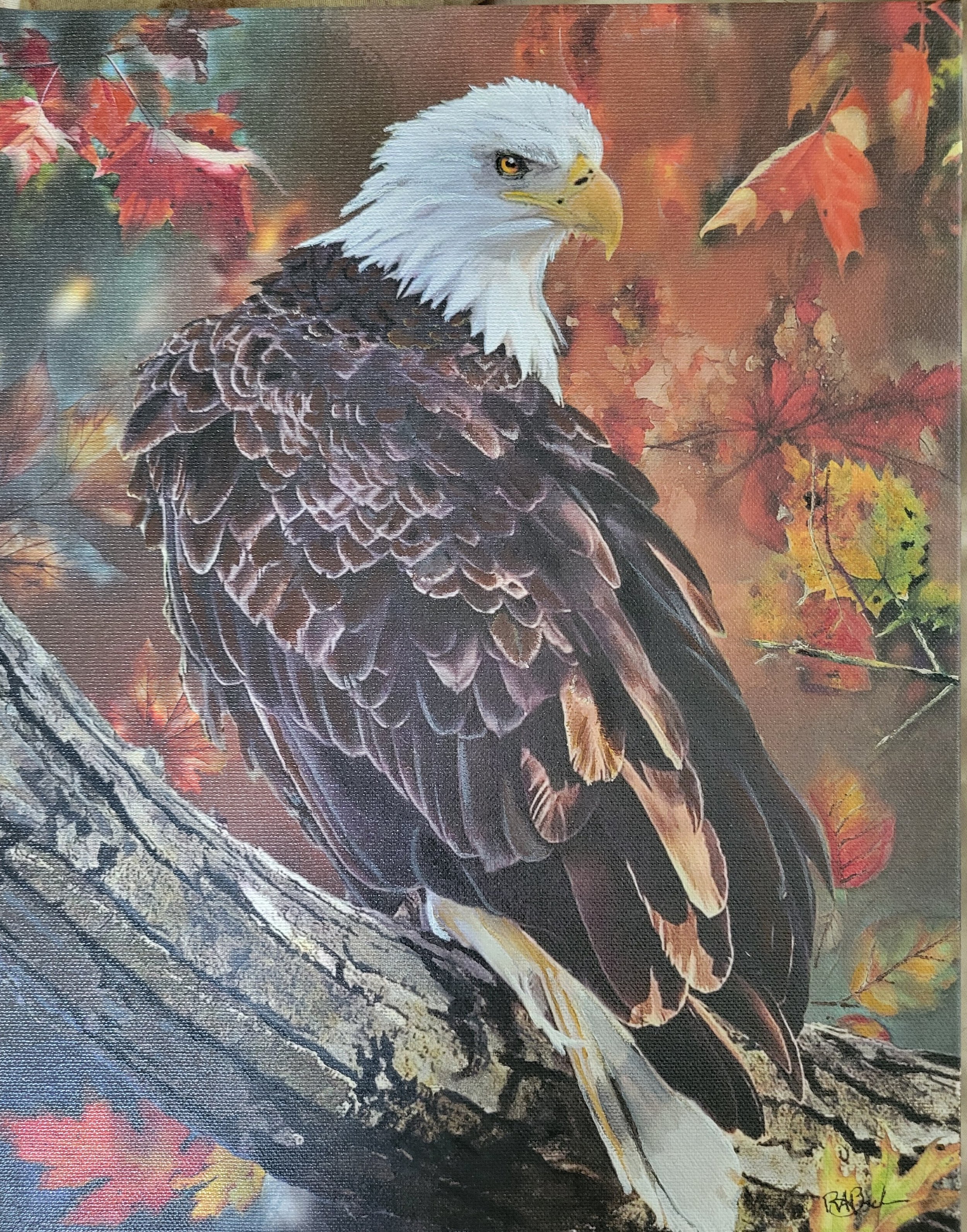 Autumn Eagle
11 x 14
Acrylic on Canvas
Available