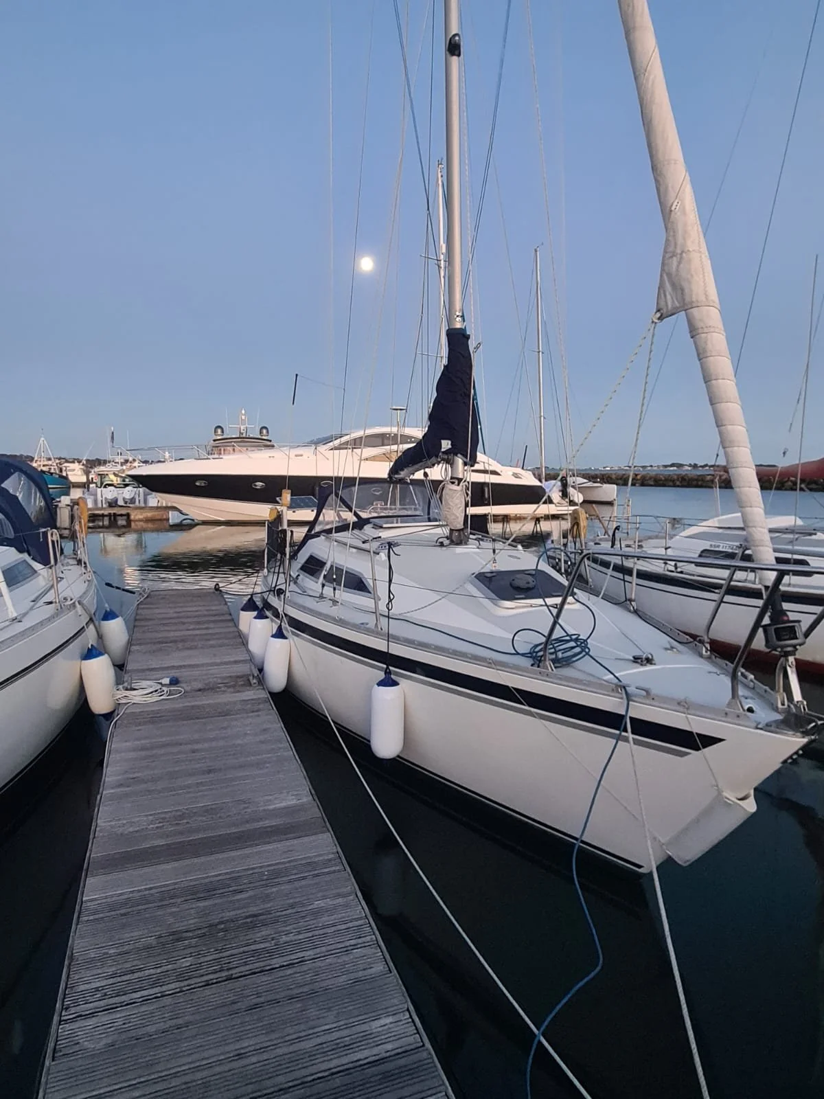 PHOTO-2026-04-02-21-01-32 5.jpg