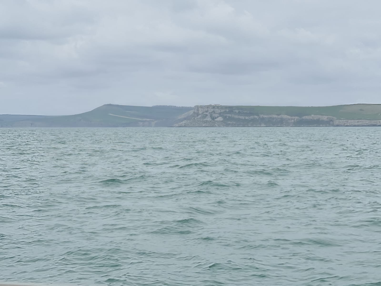 PHOTO-2026-04-02-21-01-33 3.jpg