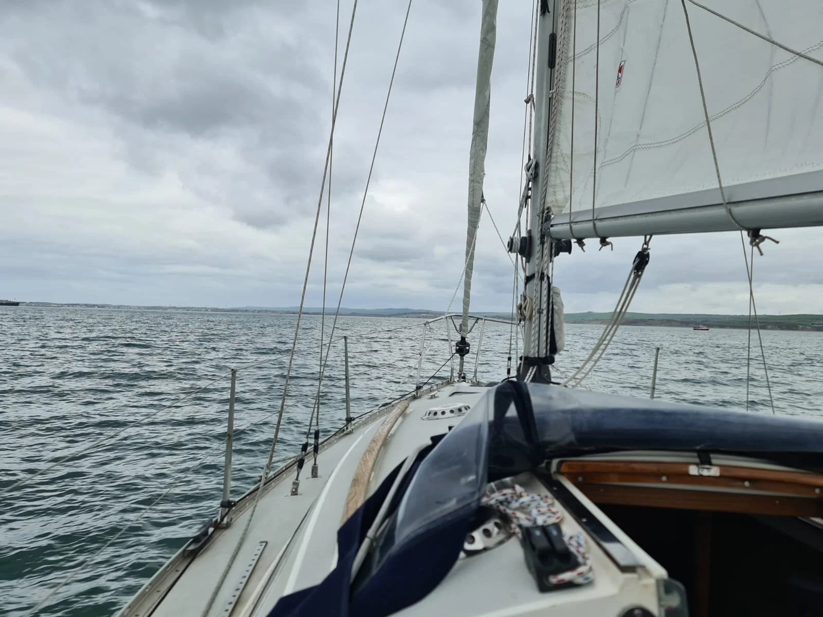 PHOTO-2026-04-02-21-01-34 2.jpg