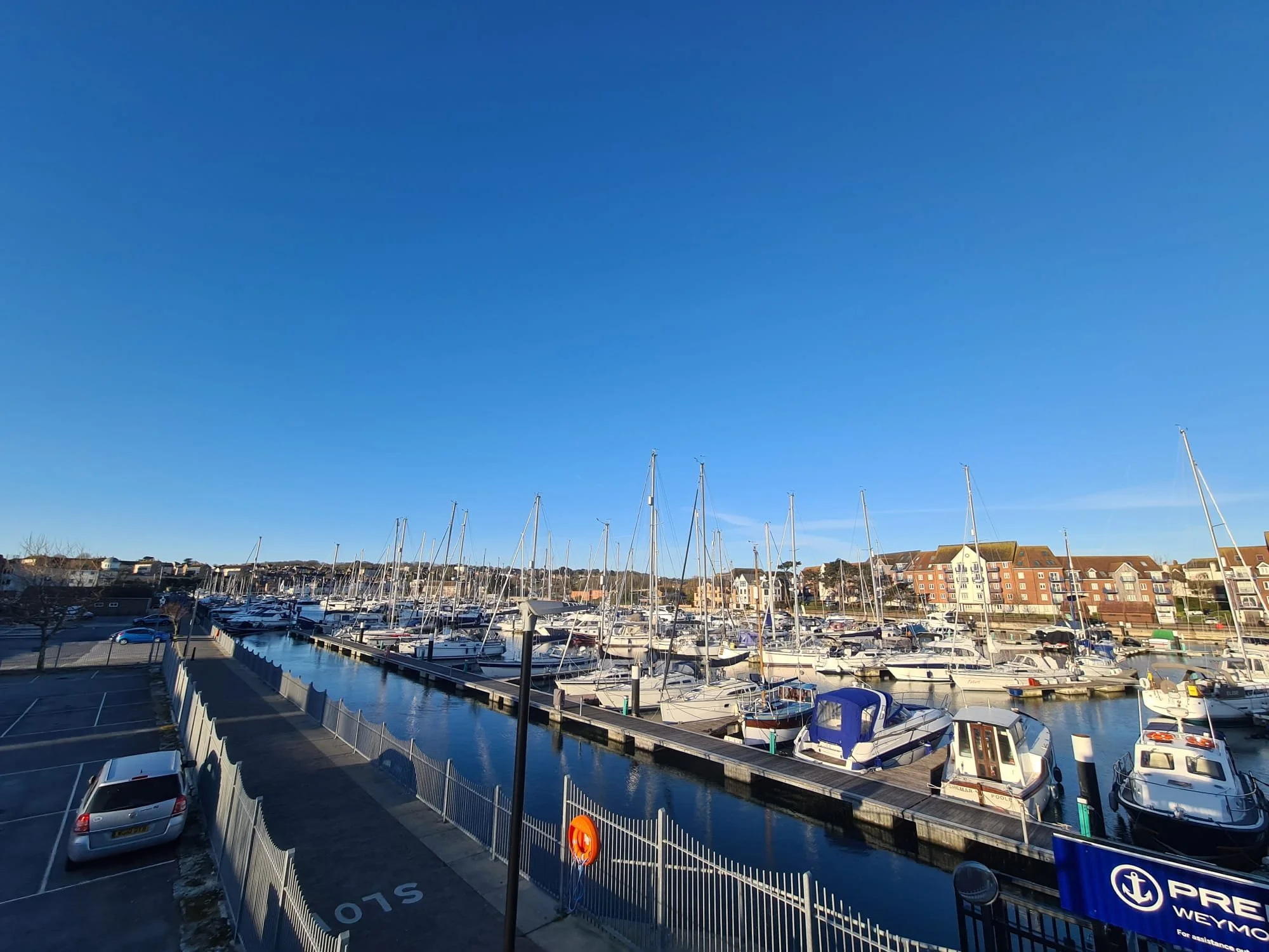 PHOTO-2026-04-02-21-01-35 2.jpg