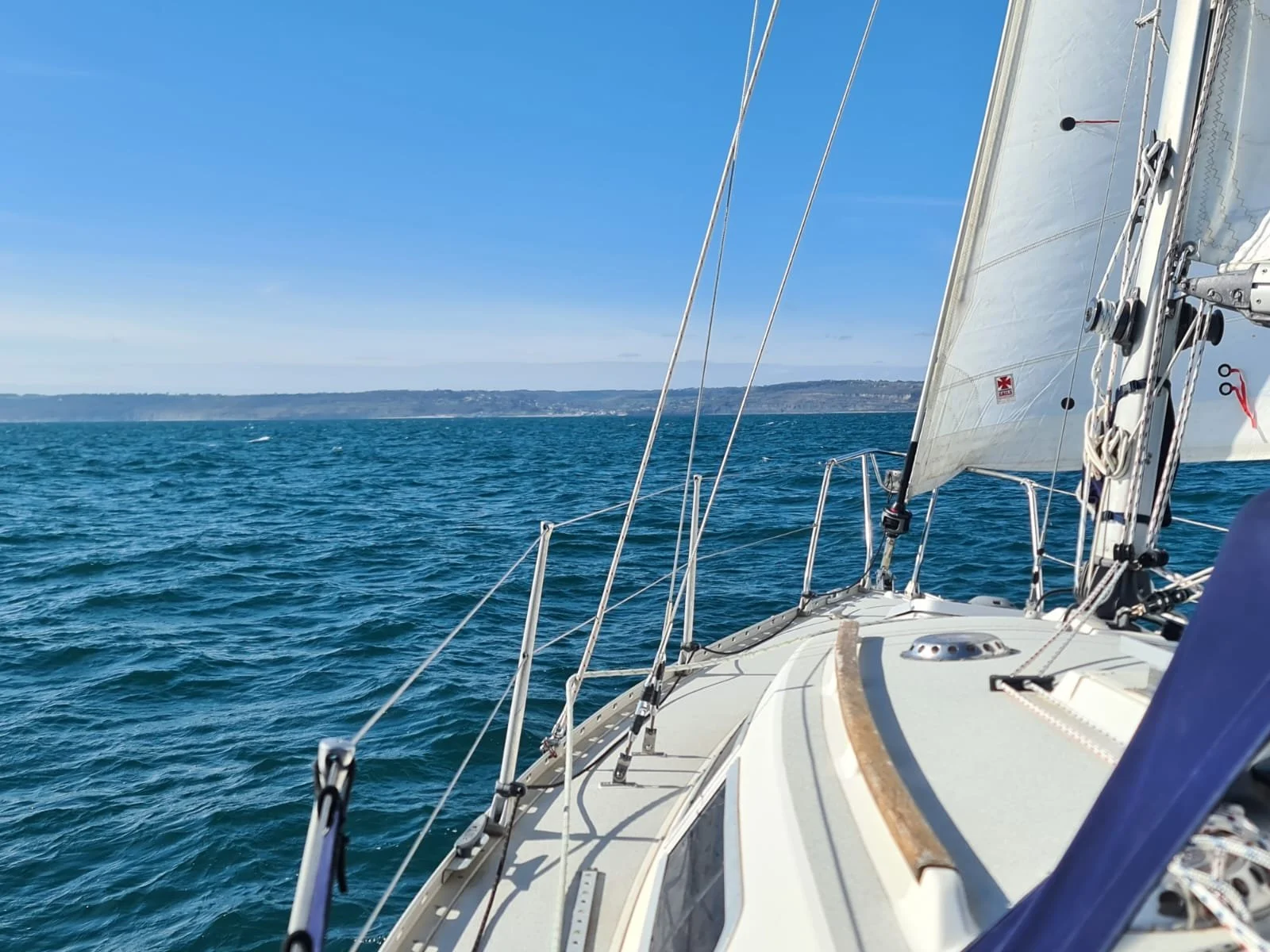 PHOTO-2026-04-02-21-01-36 5.jpg