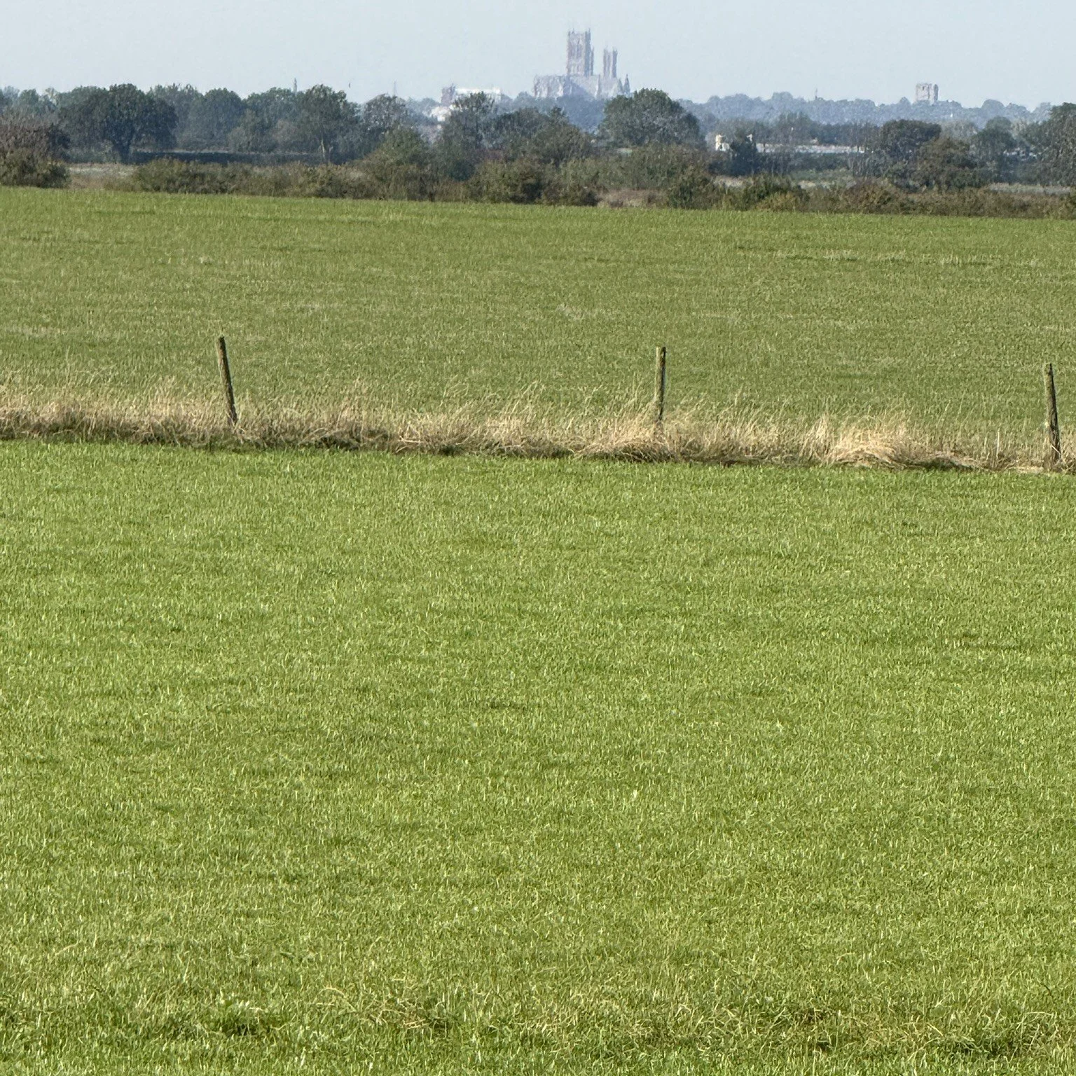 zoomed in image of lincoln cathedral towers from barlings abbey.jpeg