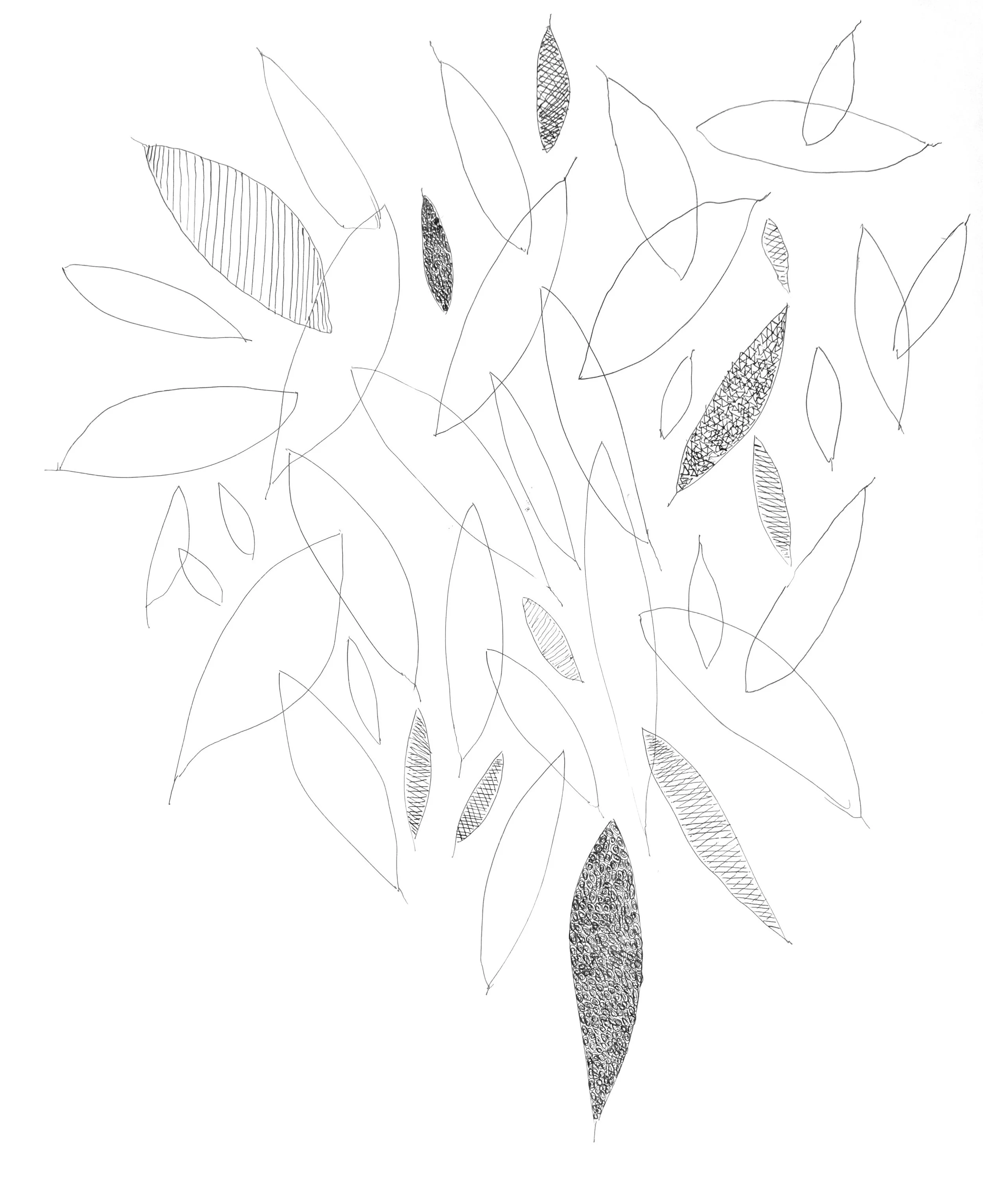 An Array