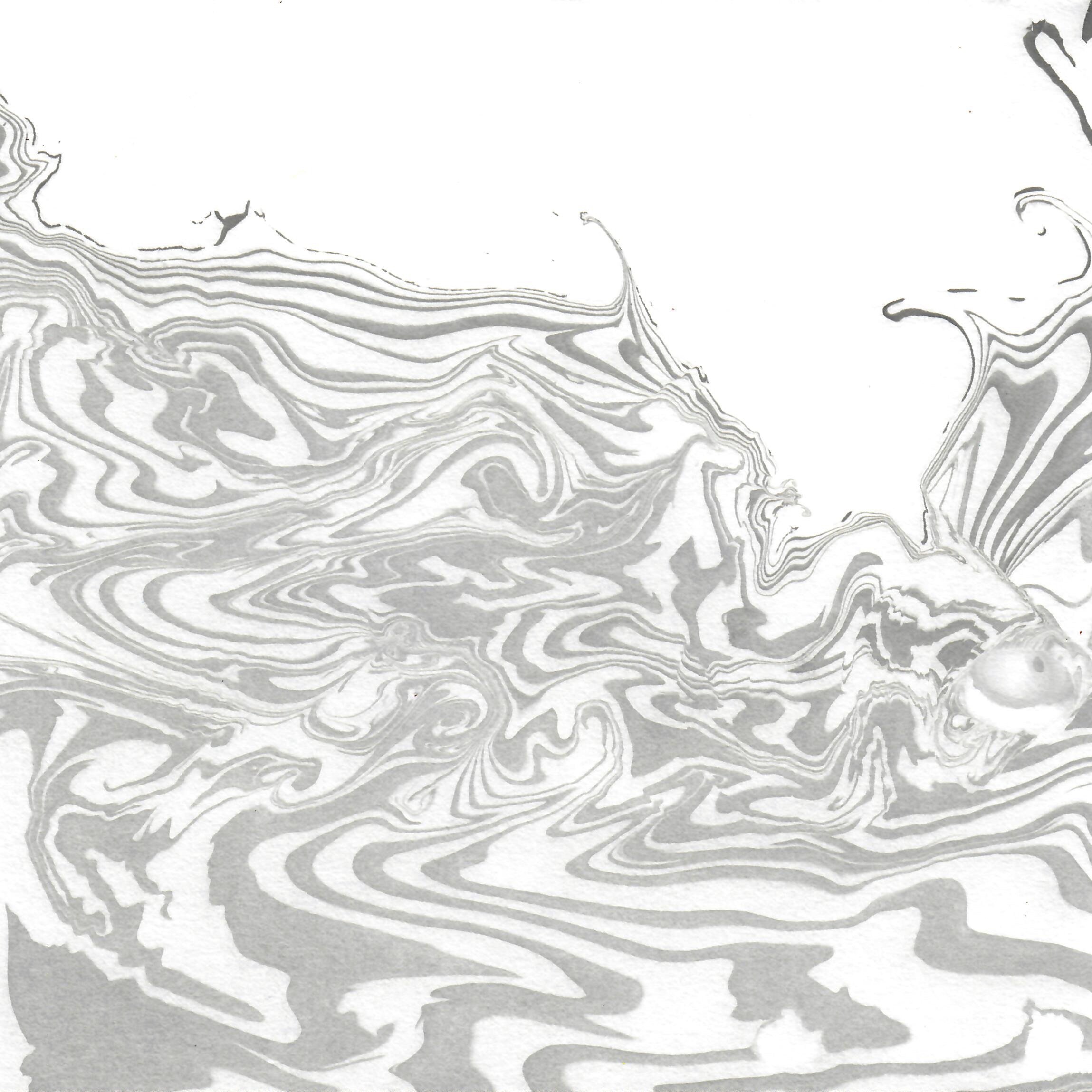 Sumi 1.jpg