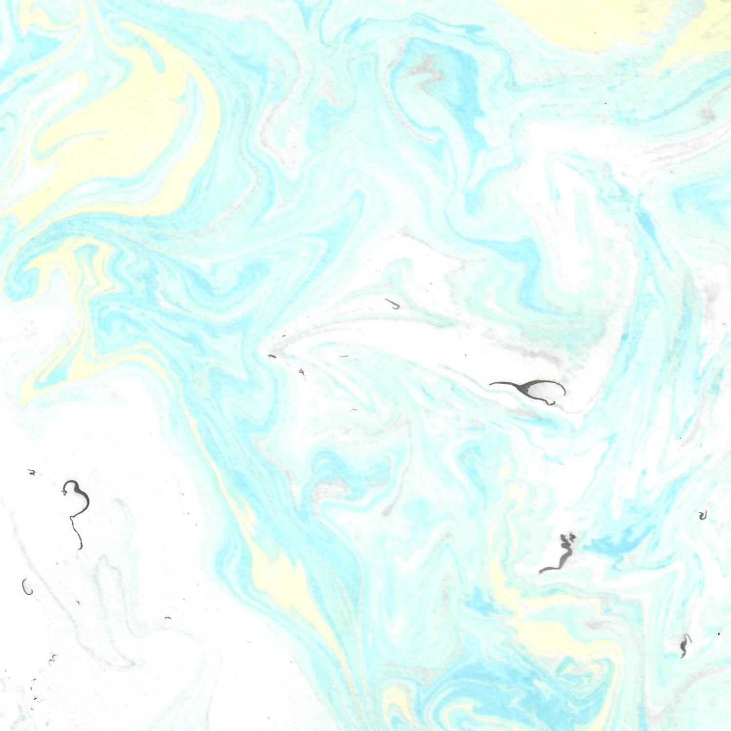 Sumi 50.jpg