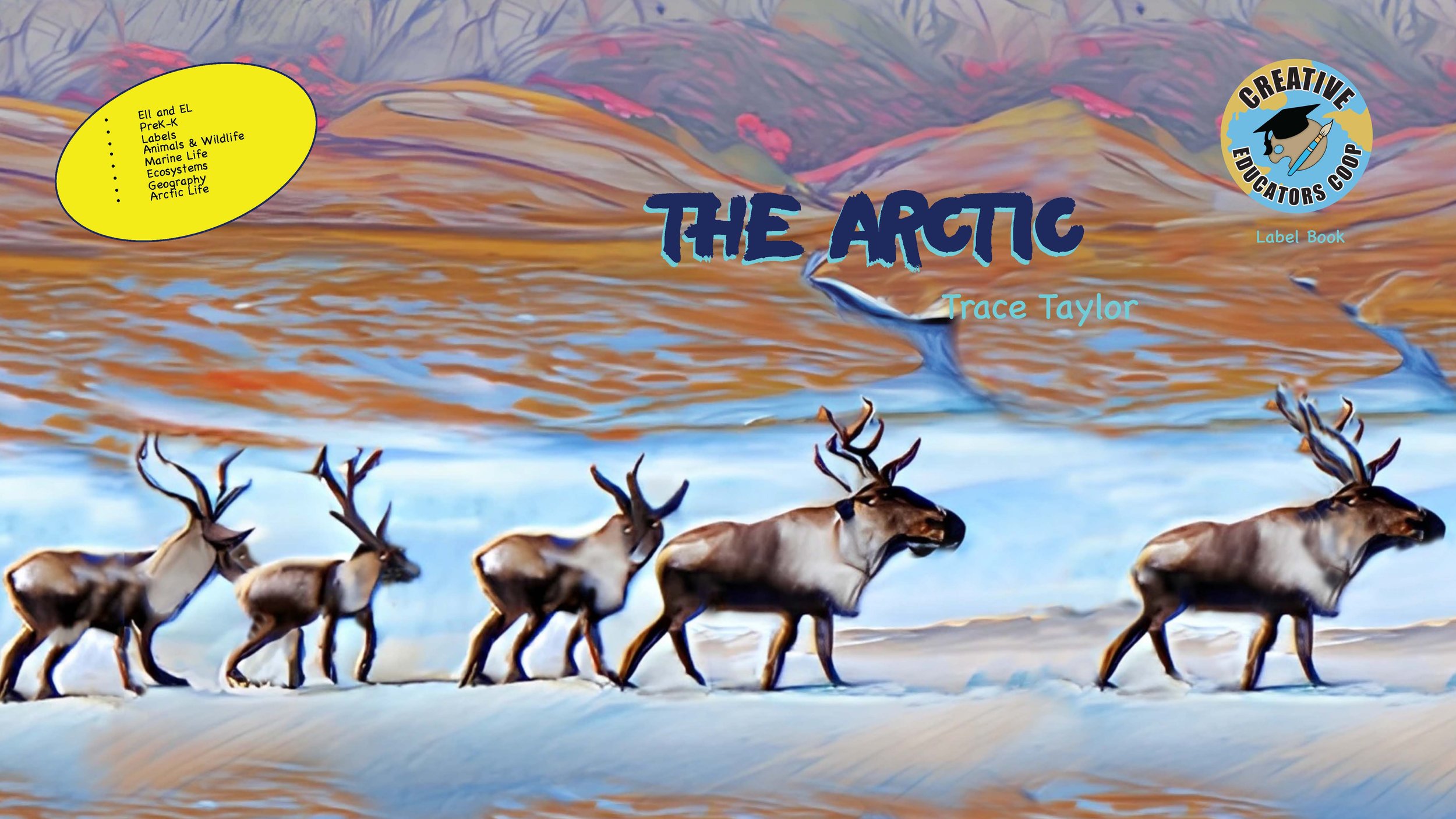 The Arctic