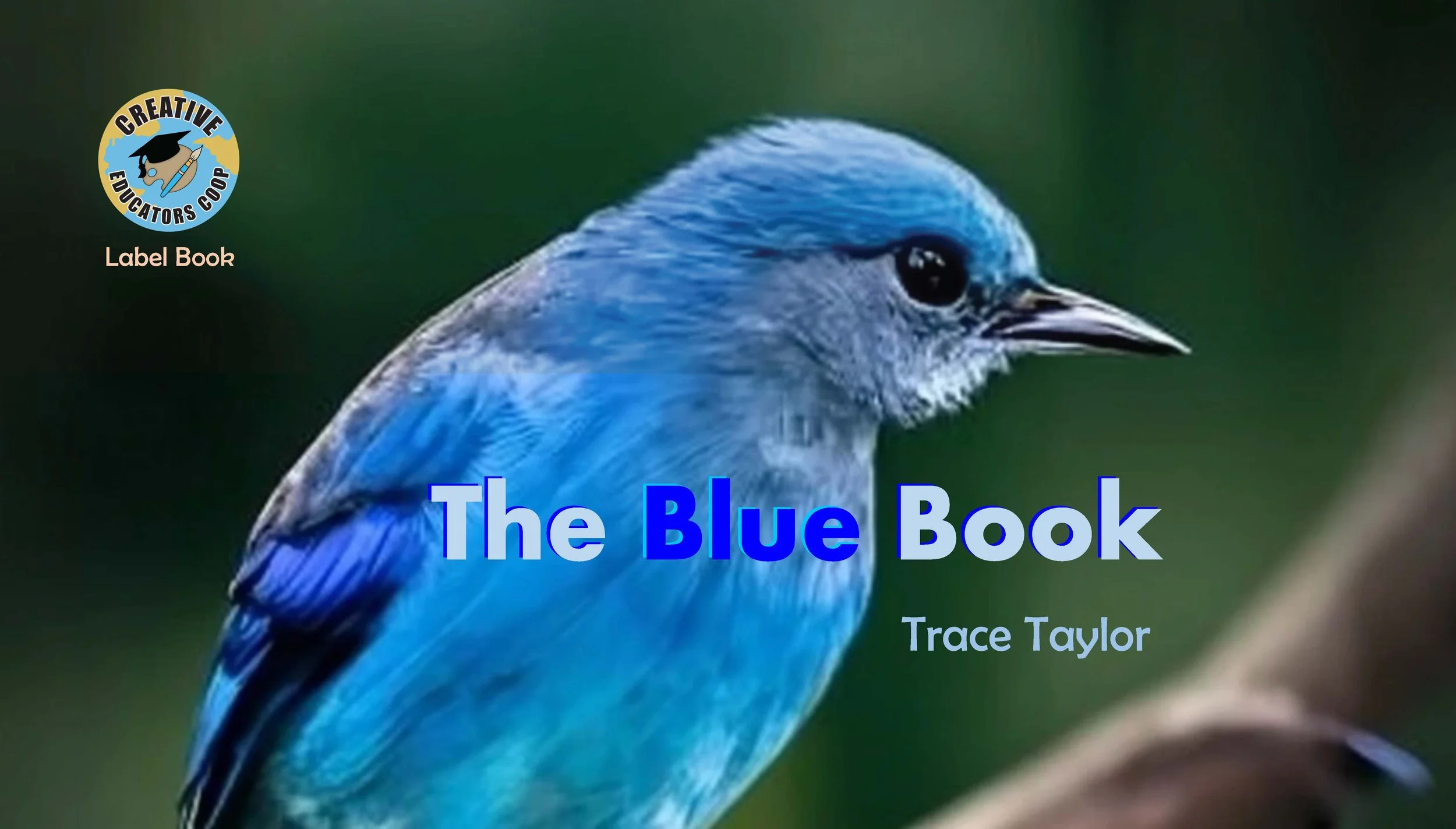 The Blue Book