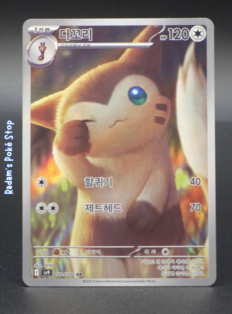 sv9 110_100 furret.png