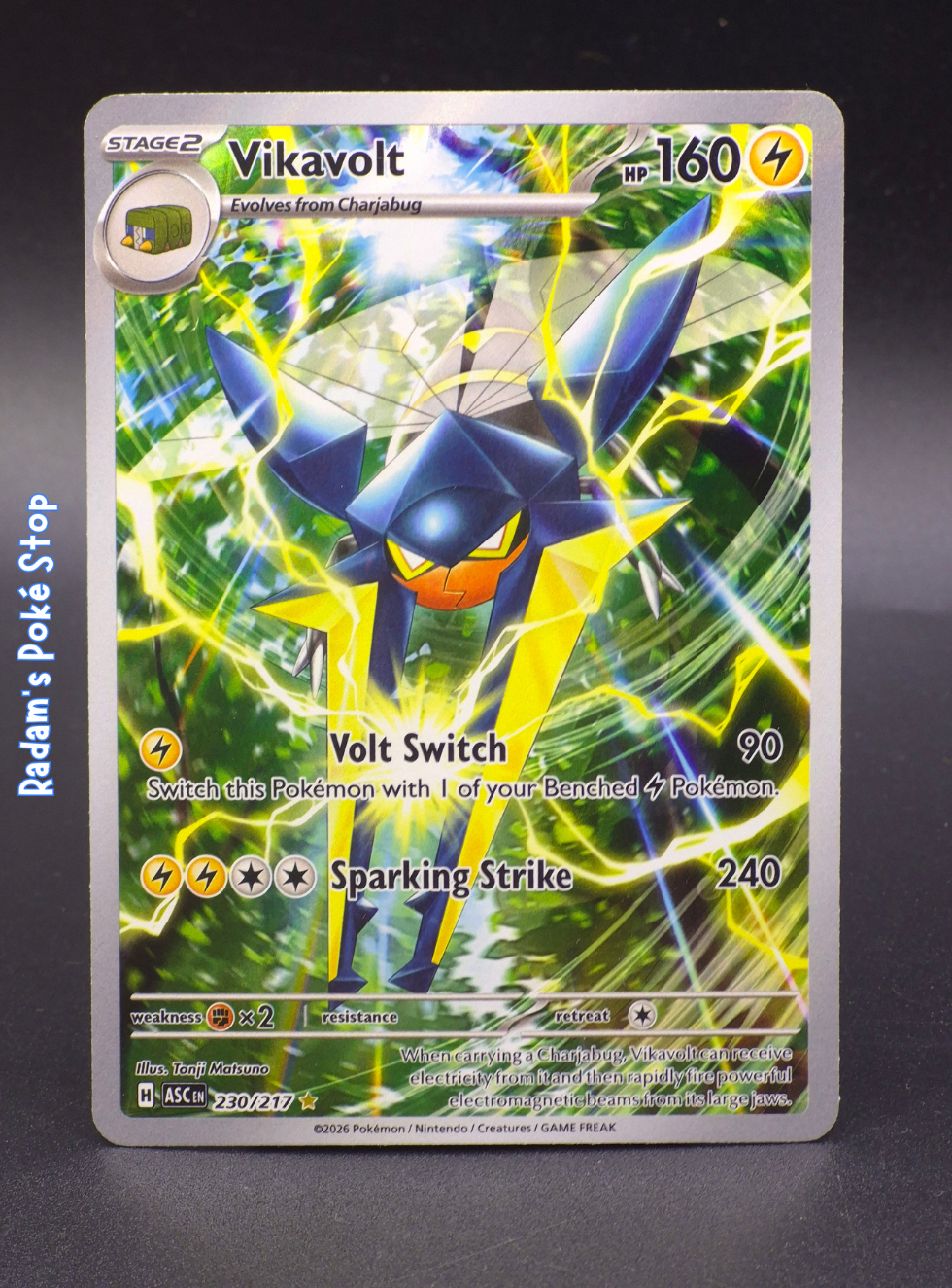 ASC 230_217 Vikavolt ir.png