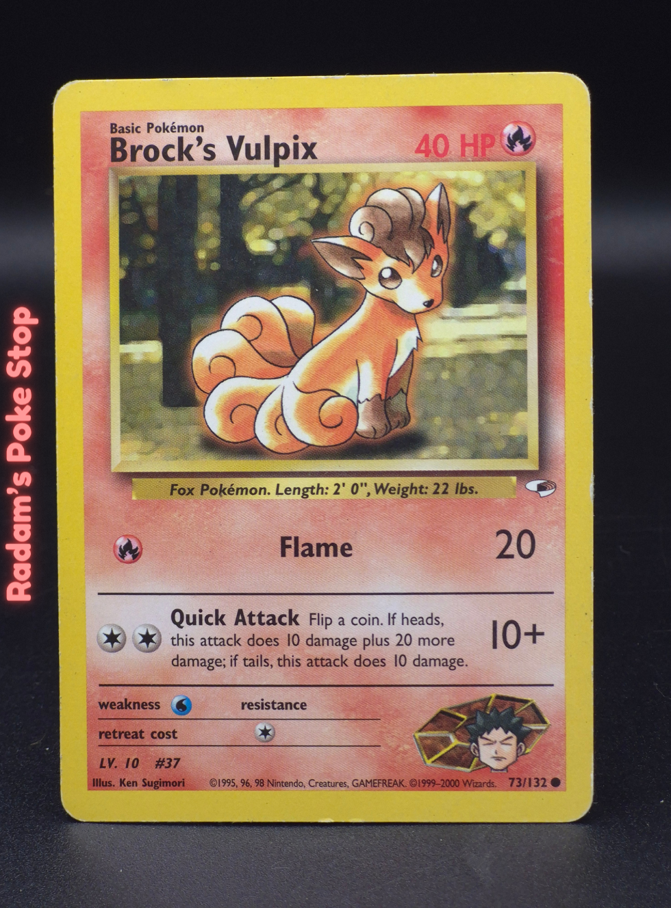 GH 73_132 brock's vulpix.png