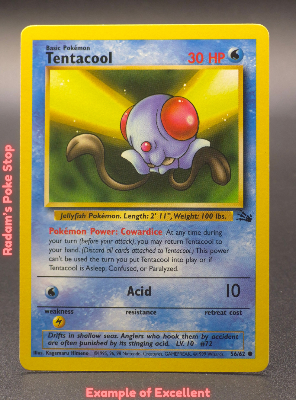 EX Tentacool.png