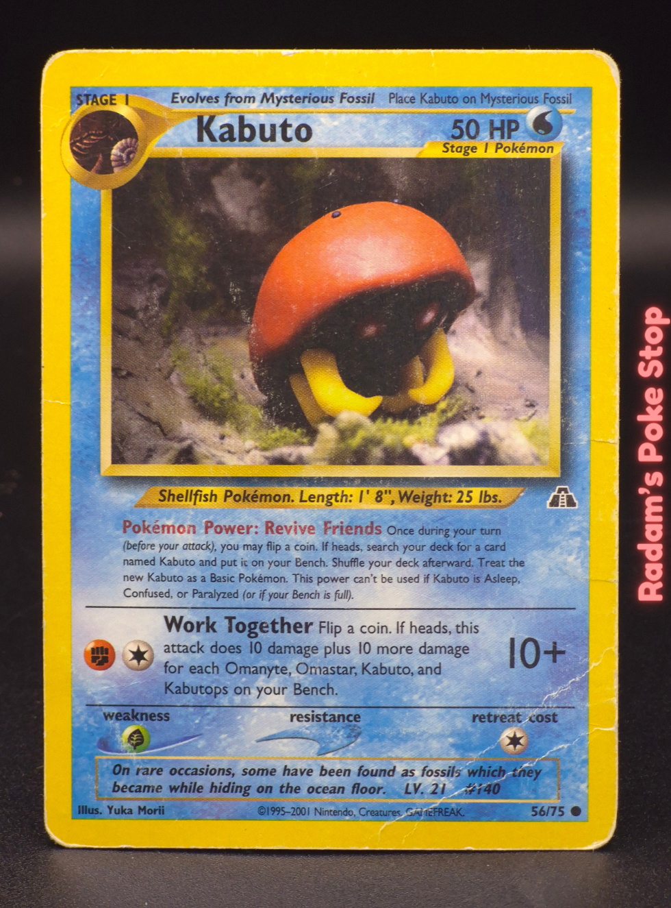 Neo d 56_75 kabuto.png