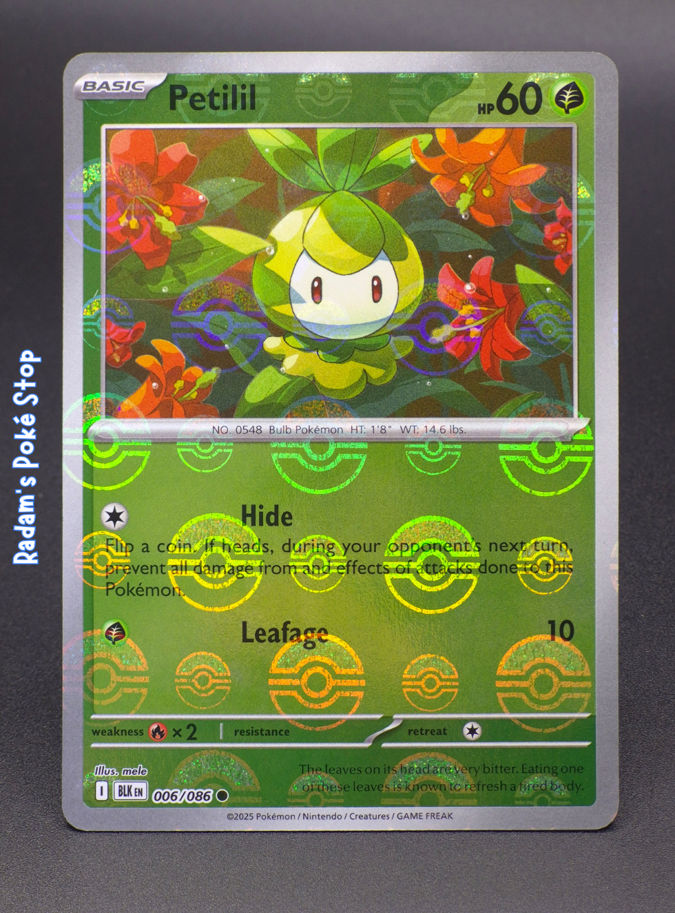 BLK 006_086 petilil poke ball.png