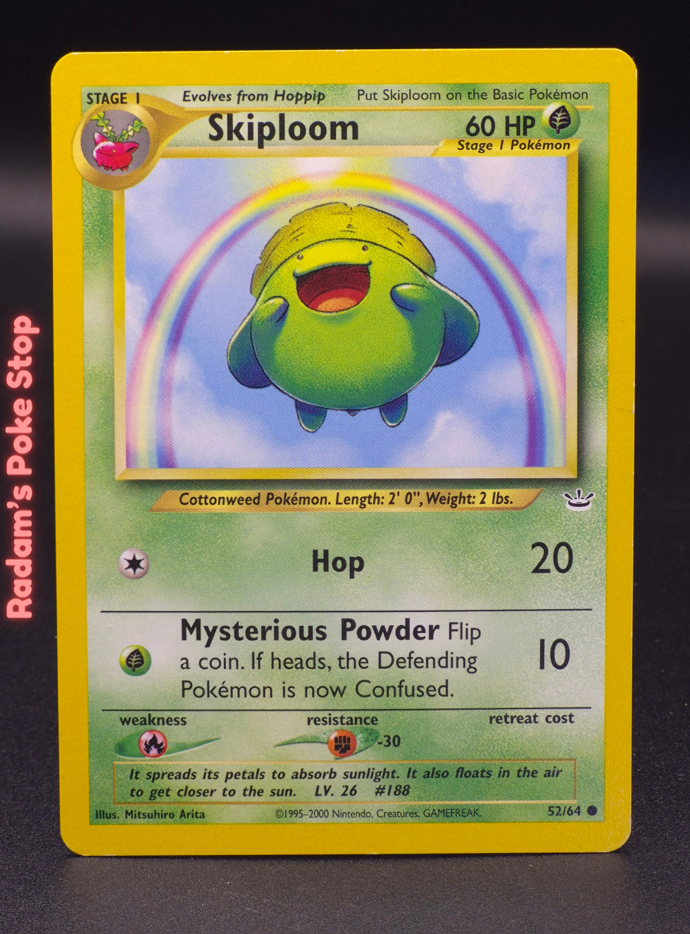 Neo R 52_64 skiploom.png