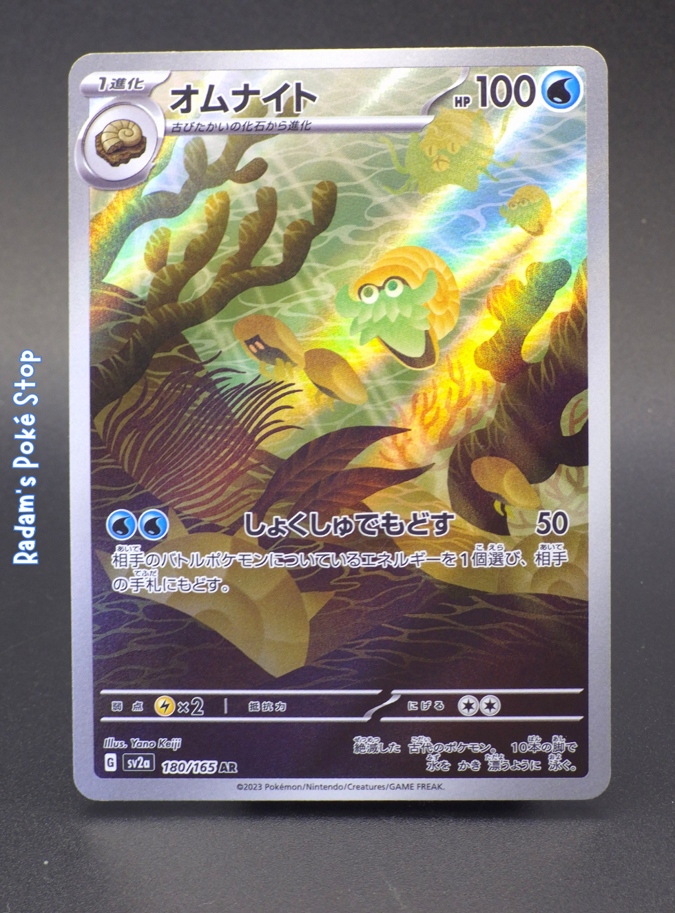 sv2a 180_165 omanyte.png