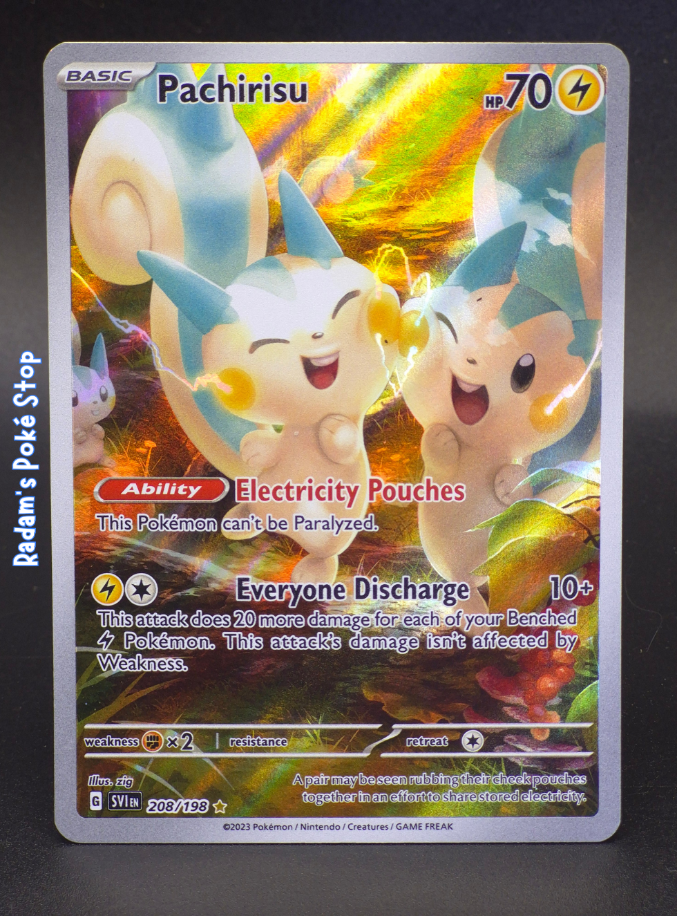 svi 208_198 ir pachirisu.png