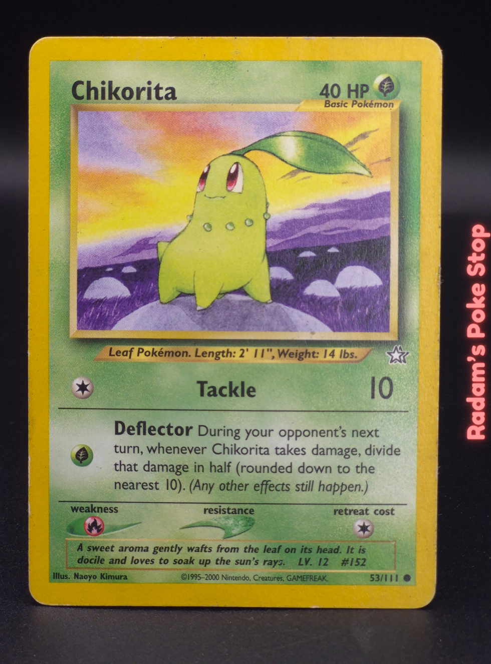 neo g 53_111 chikorita.png