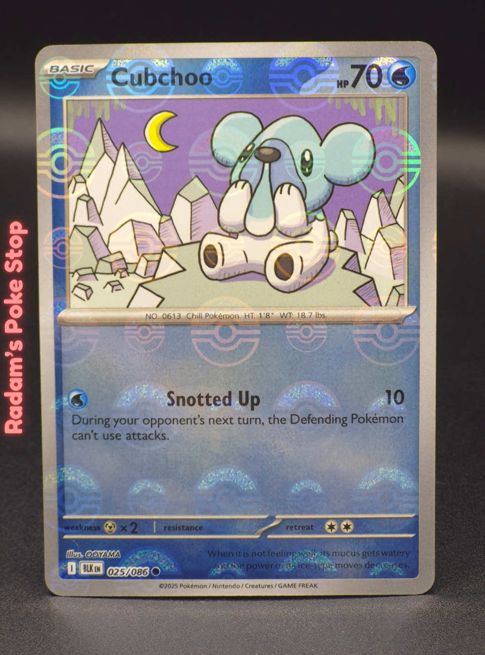 PB blk 025_086 cubchoo.png
