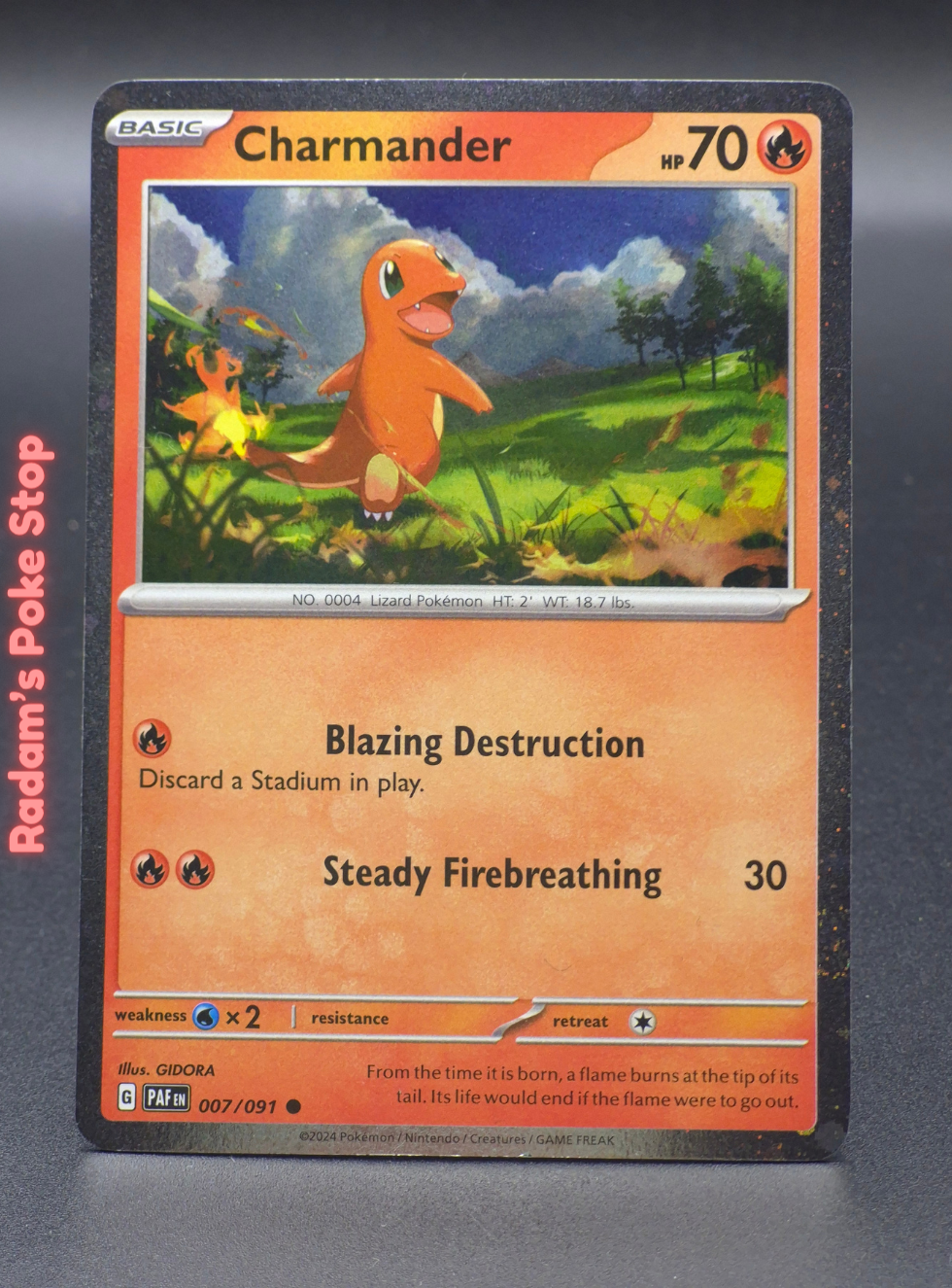 paf 007_091 promo (3).png