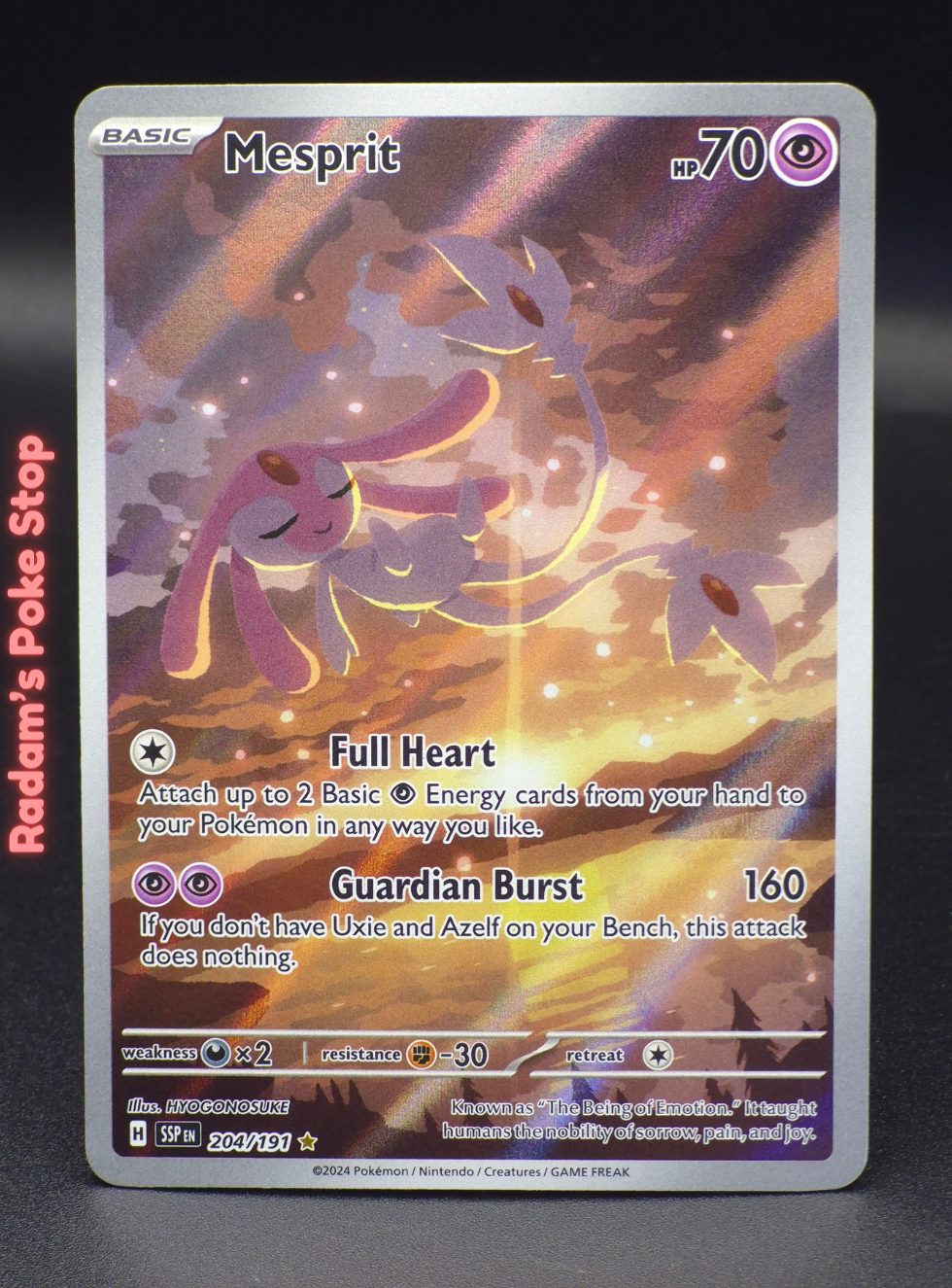 ir ssp 204_191 mesprit (3).png