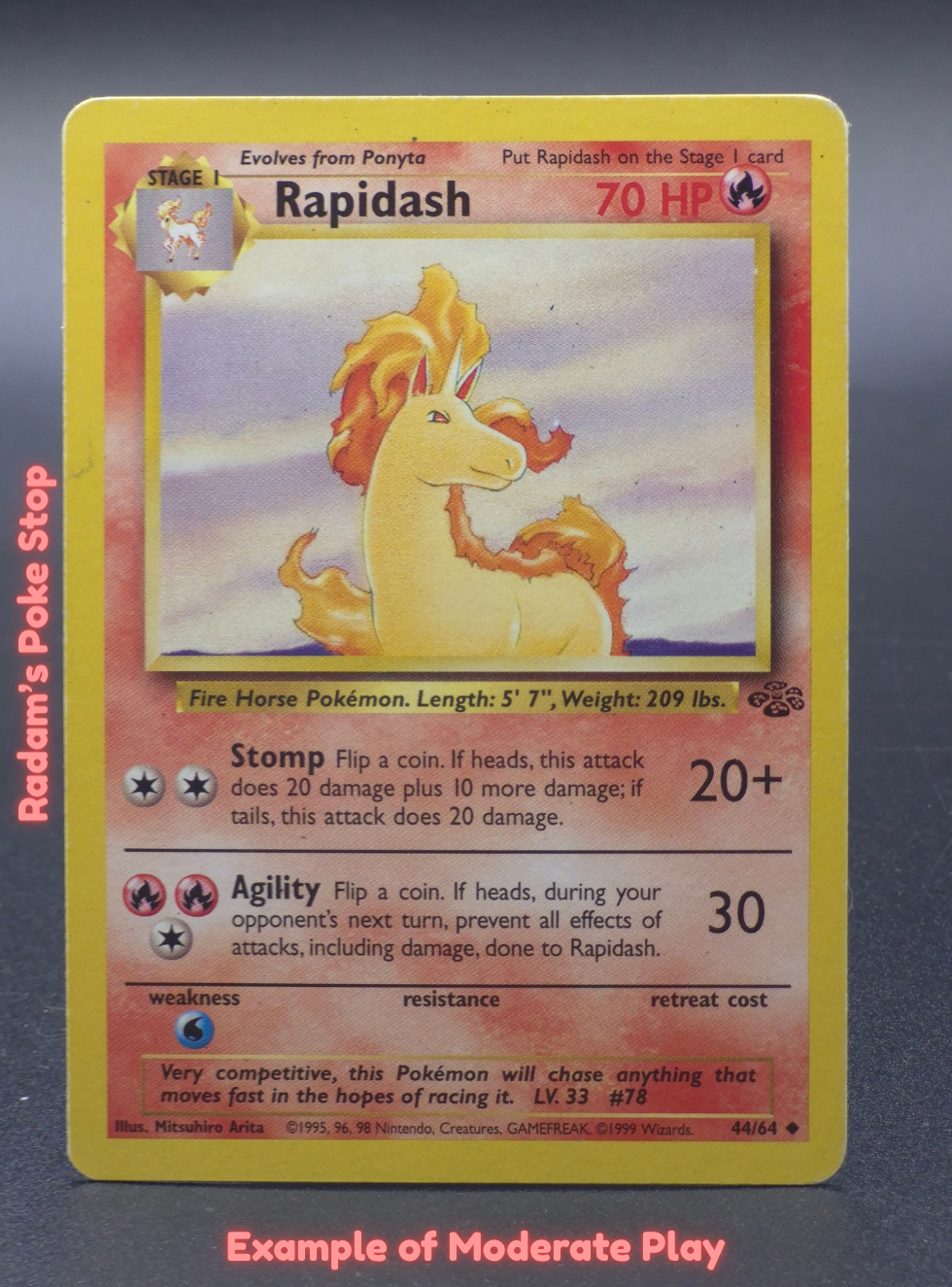 MP Rapidash.png