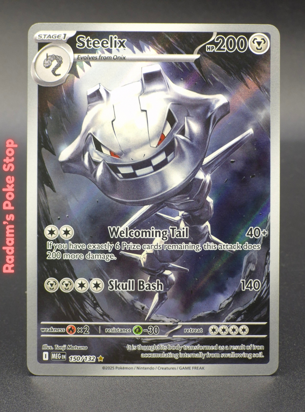 meg 150_132 steelix (3).png