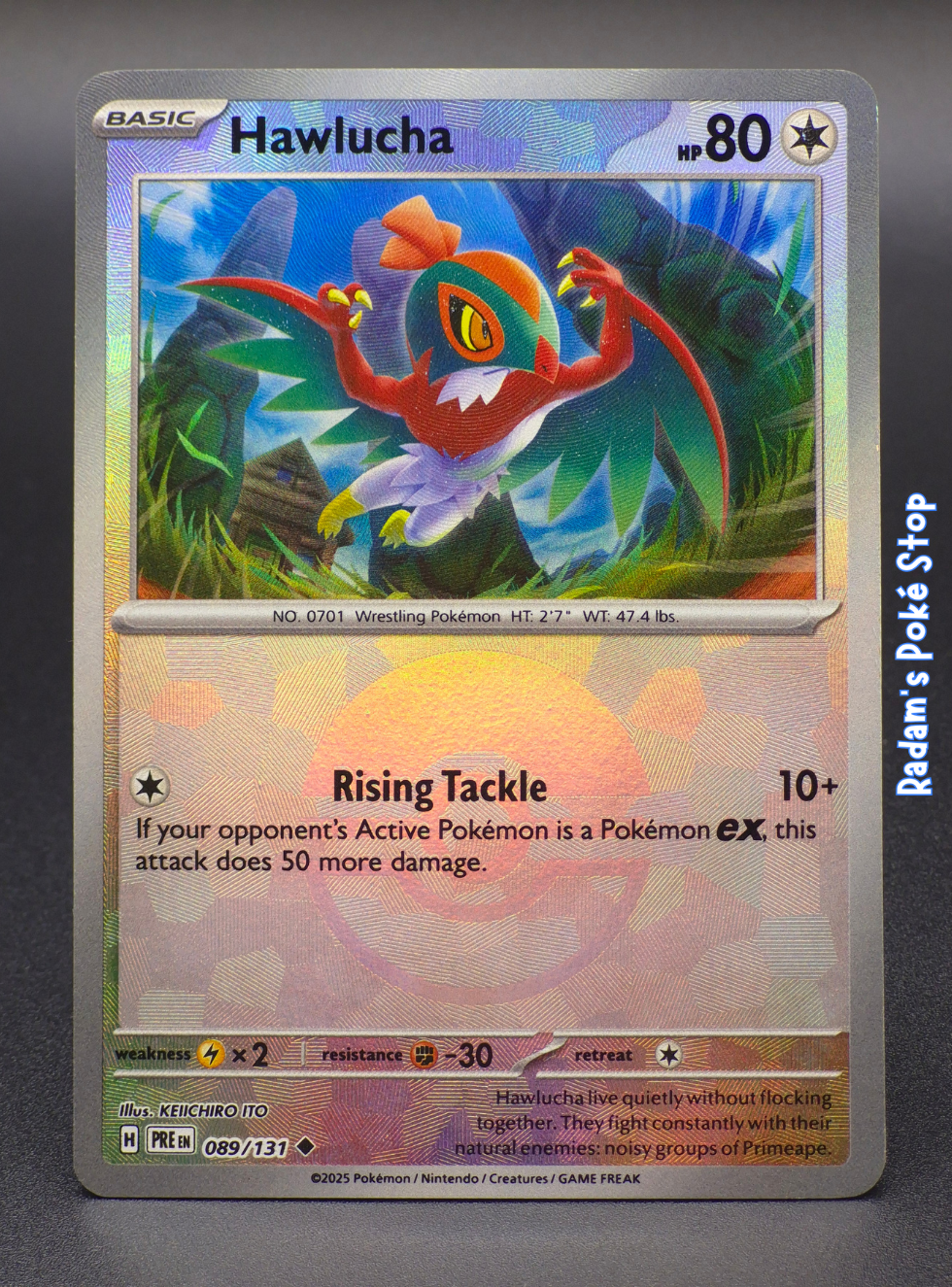 PRE 089_131 Poke Ball Hawlucha.png