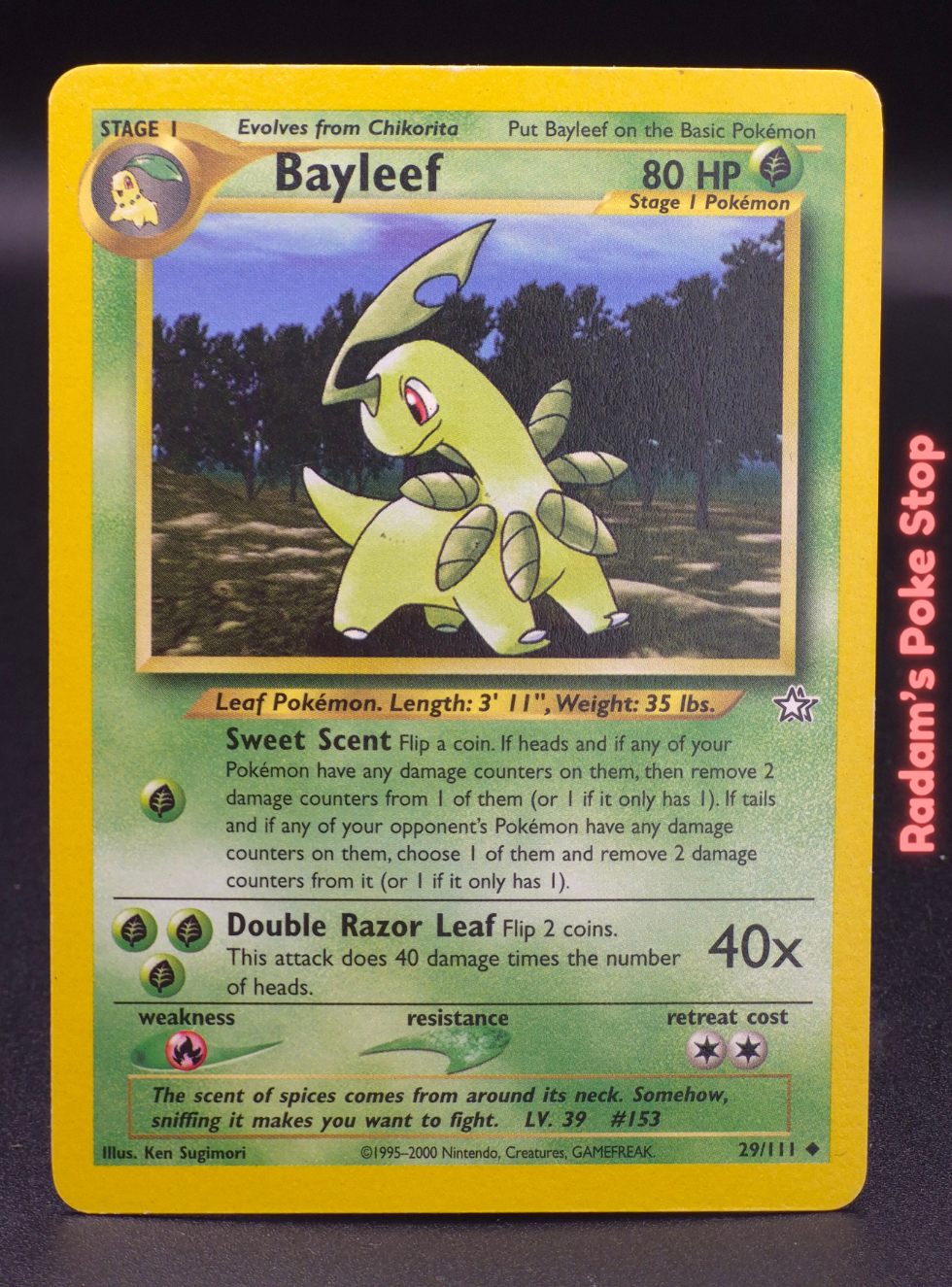 neo g 29_111 bayleef (3).png