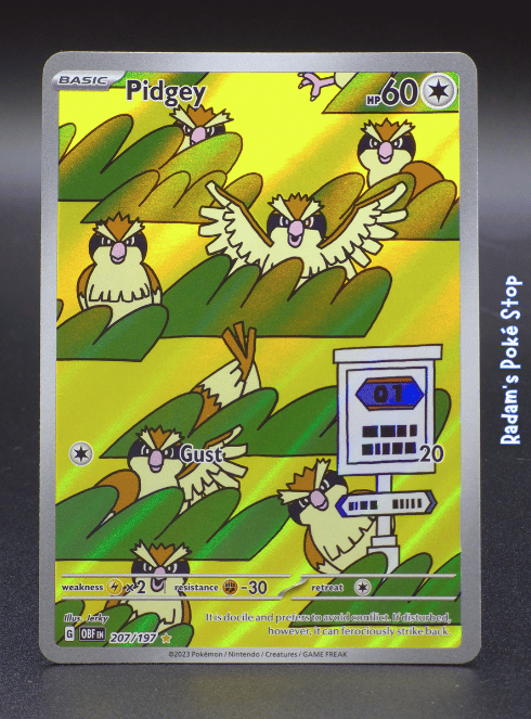 Pidgey #207, Obsidian Flames IR