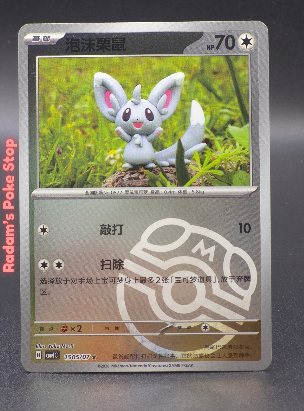 cbb4c 15 05_07 minccino masterball.png
