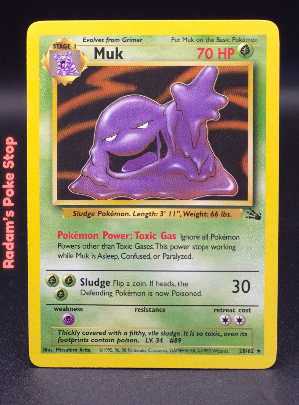 fossil 28_62 muk.png