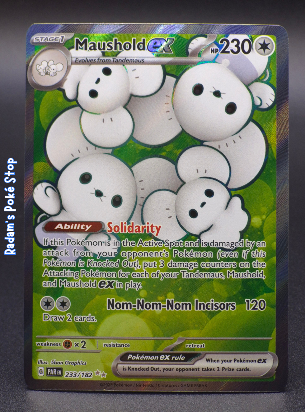 PAR 233_182 maushold ex.png