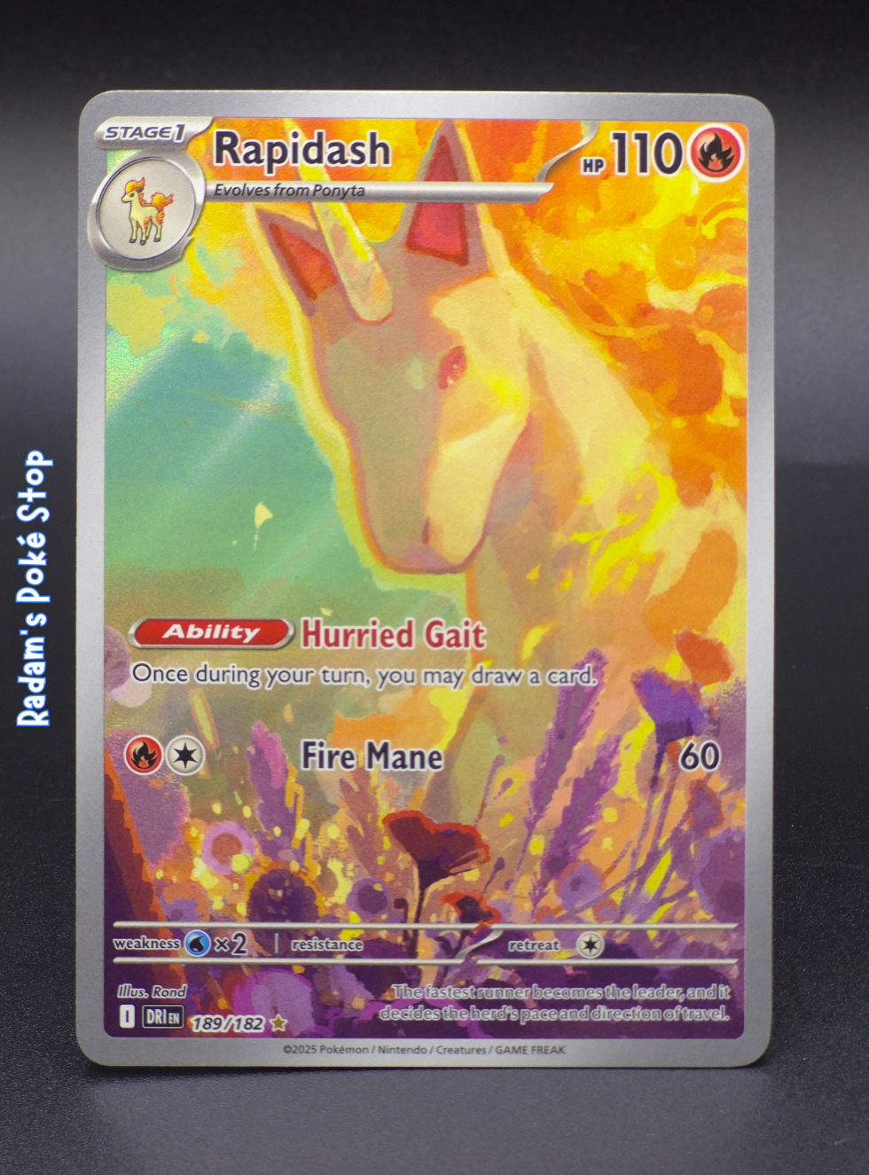 DRI 189_182 rapidash (3).png