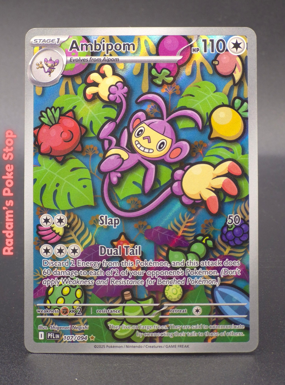 PFL 107_094 ambipom.png