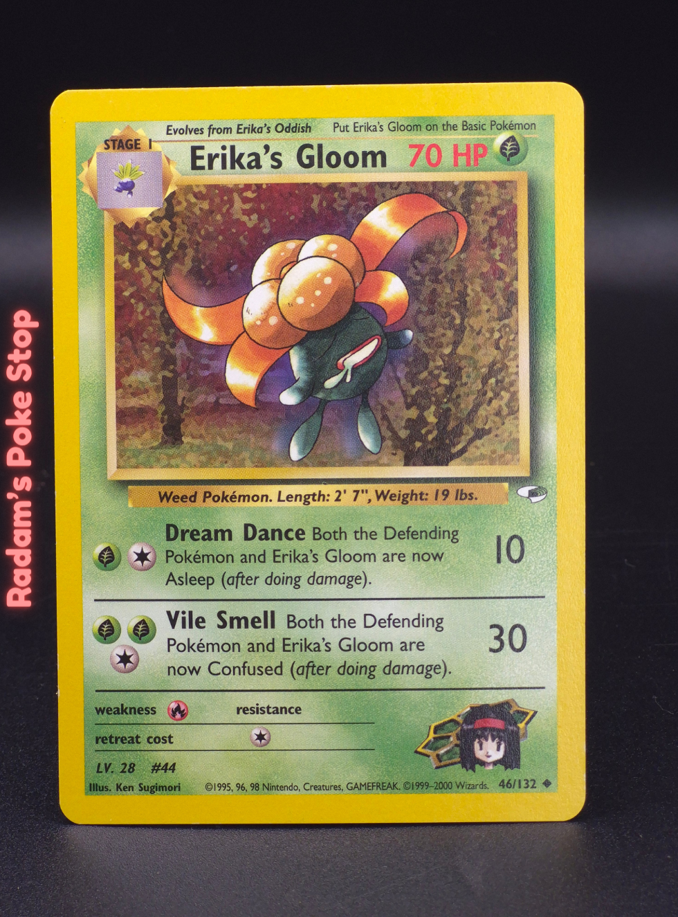 GH 46_132 erika's gloom (3).png