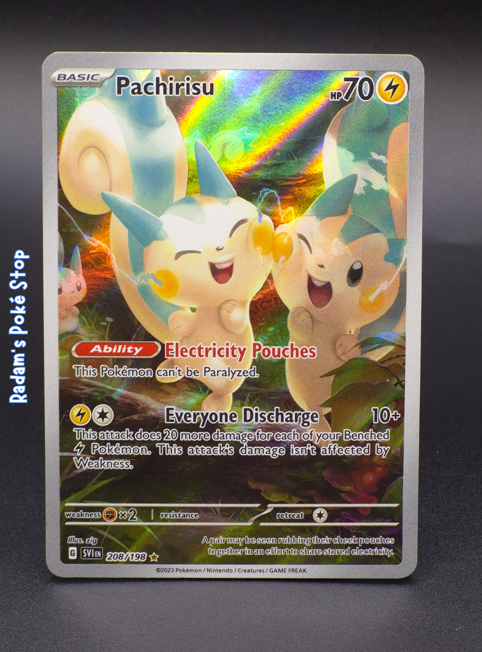 SVI 208_198 pachirisu.png