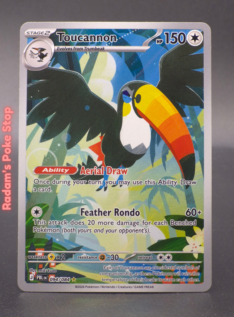 PBL 094_084 toucannon.png
